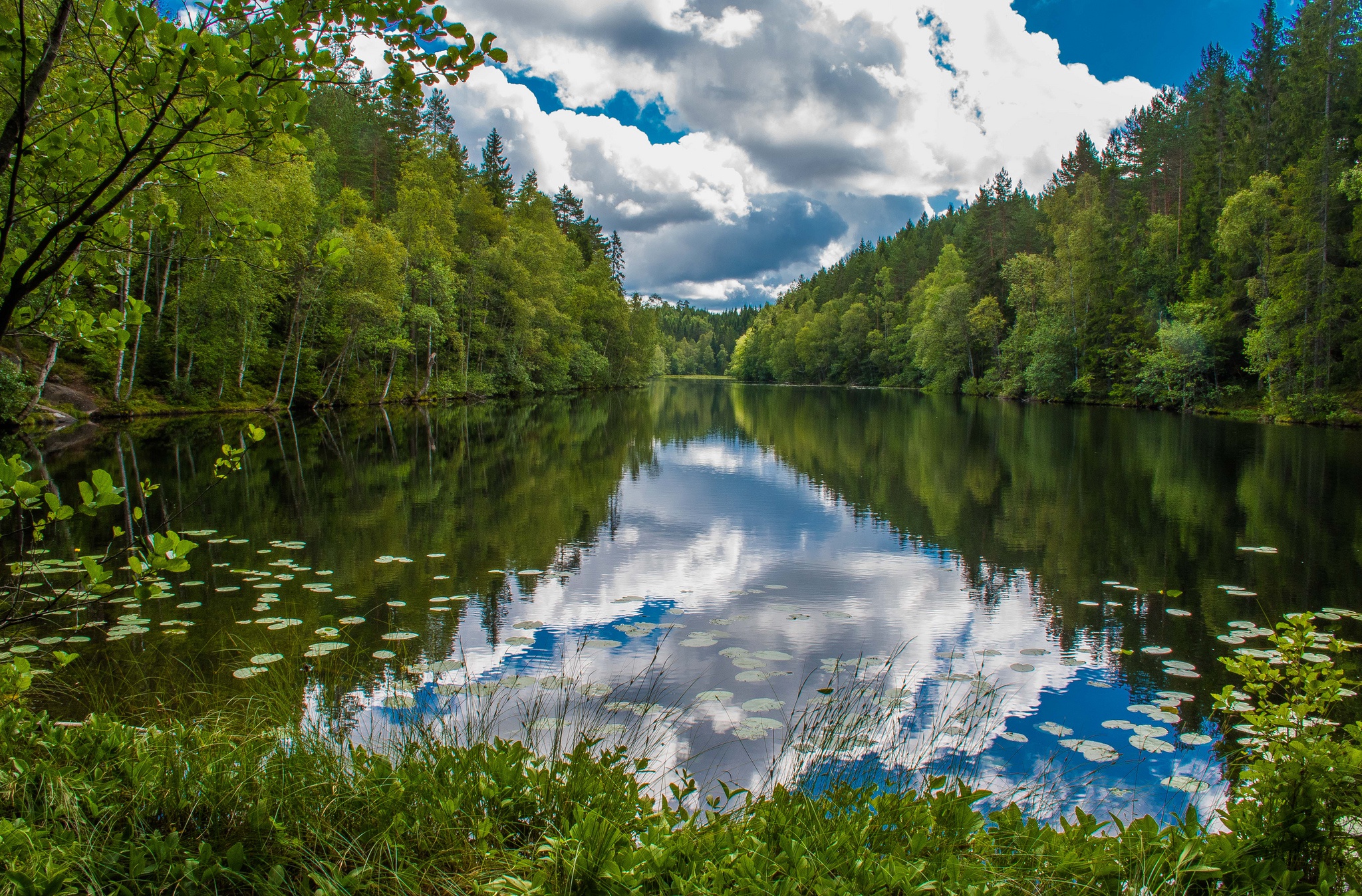 PCデスクトップに自然, 湖, 反射, 森, 地球, クラウド画像を無料でダウンロード