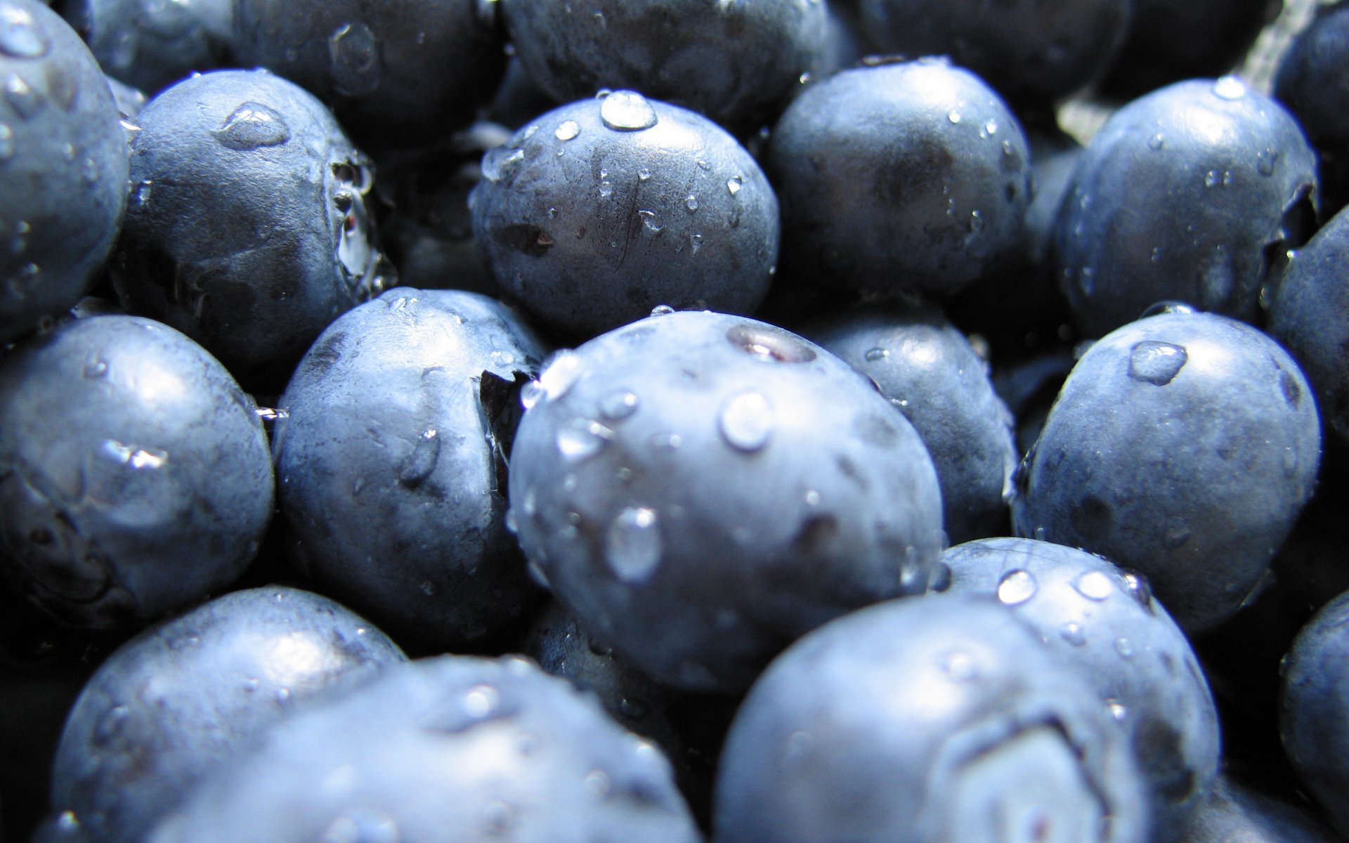 Download mobile wallpaper Food, Blueberry for free.