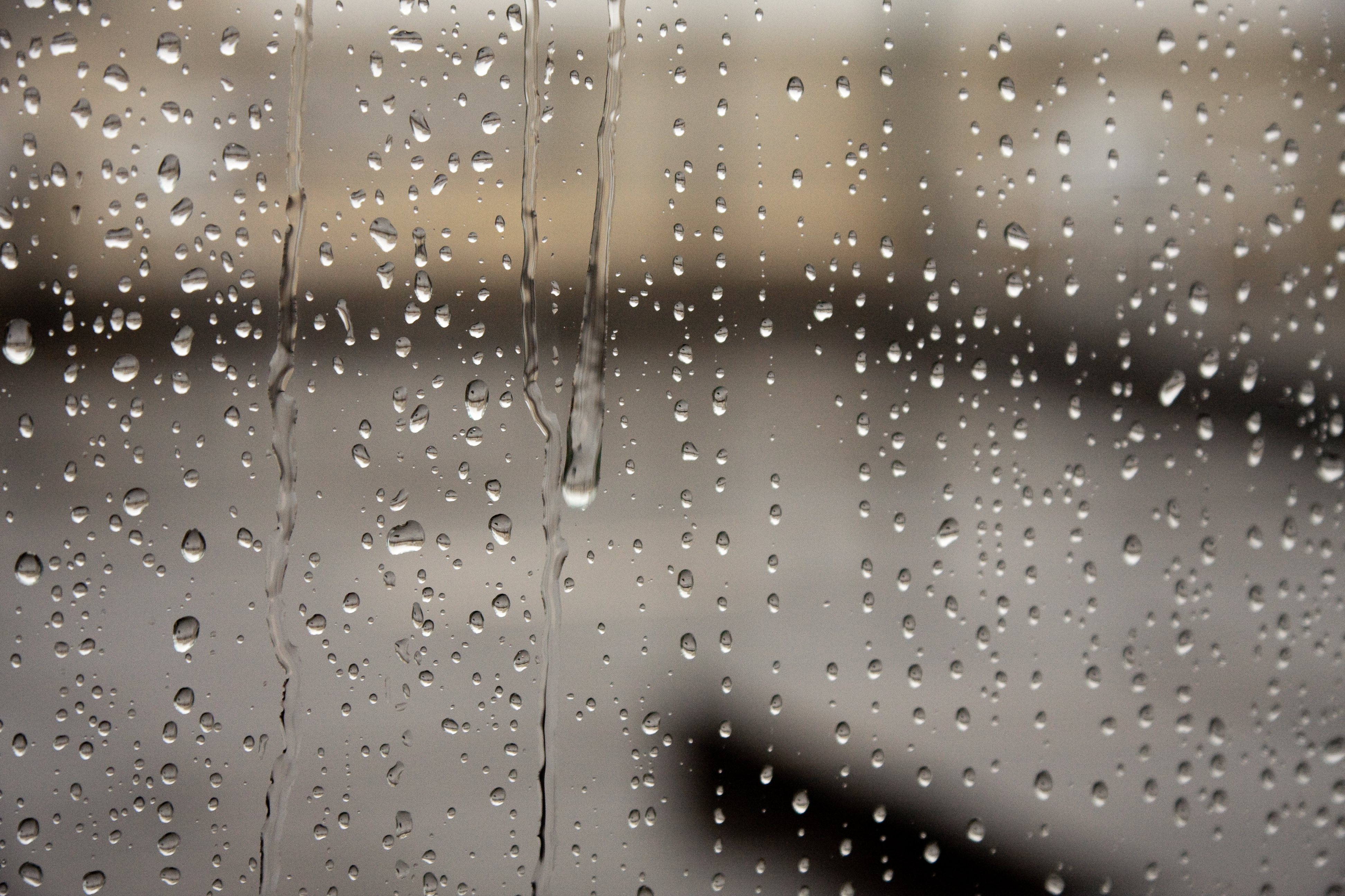 125393 скачать картинку дождь, макро, мокрый, капли, прозрачный, стекло - обои и заставки бесплатно