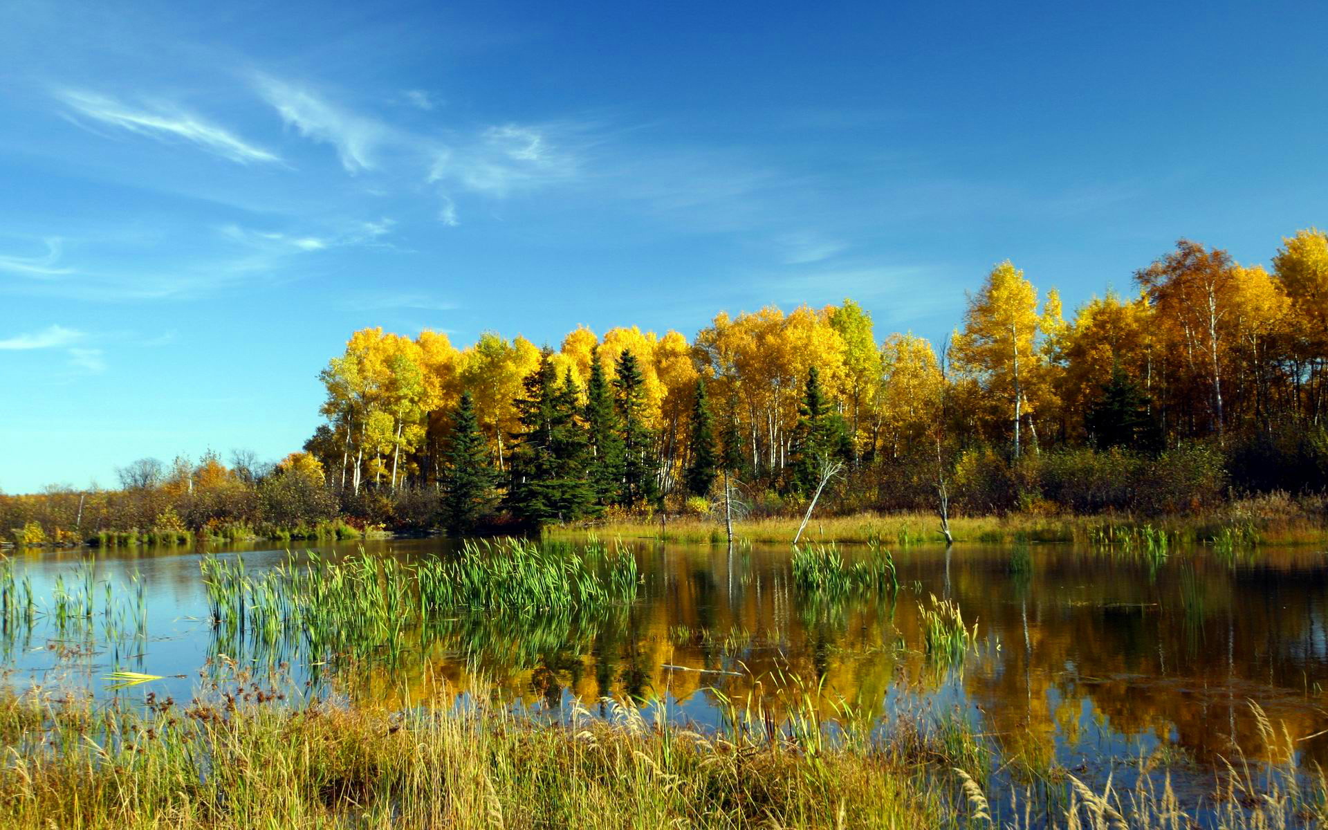 Laden Sie das Landschaft, Erde/natur-Bild kostenlos auf Ihren PC-Desktop herunter