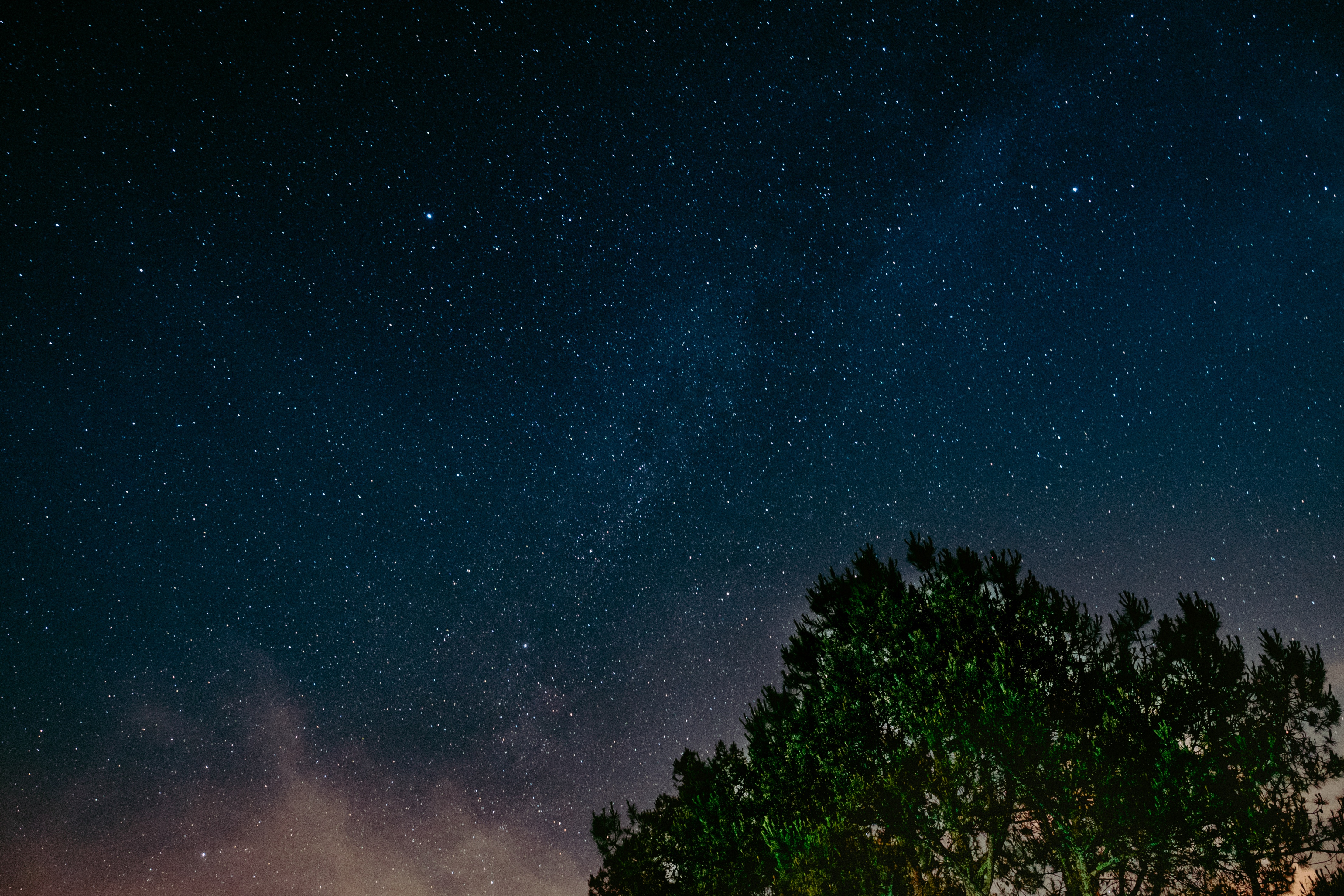 Free download wallpaper Nature, Wood, Tree, Starry Sky, Night on your PC desktop