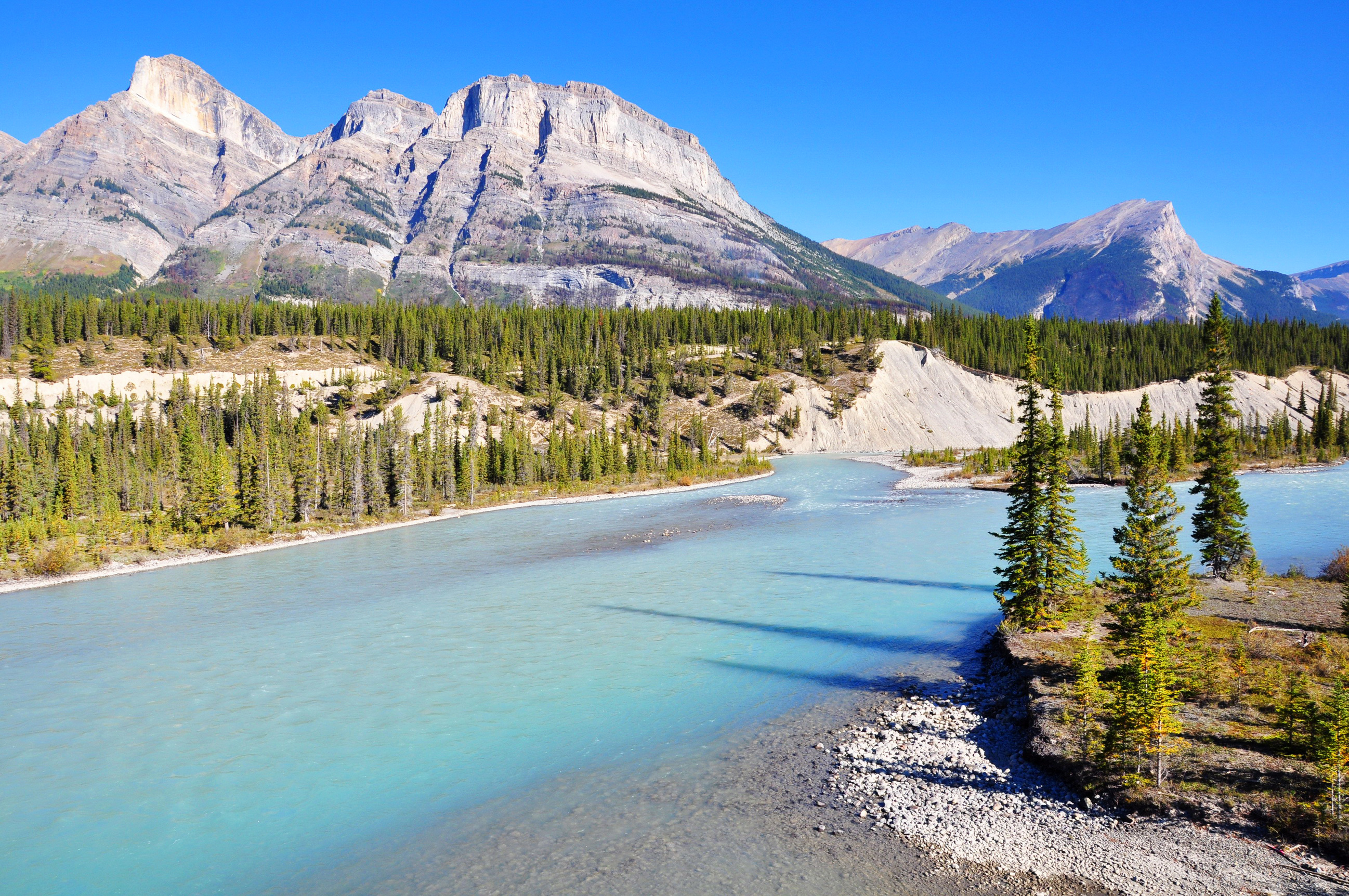 Descarga gratis la imagen Paisaje, Naturaleza, Rio, Montaña, Canadá, Bosque, Parque Nacional Banff, Tierra/naturaleza en el escritorio de tu PC