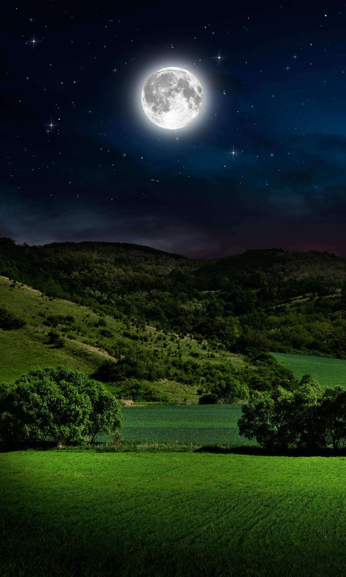 Download mobile wallpaper Sky, Night, Moon, Starry Sky, Earth, Field for free.