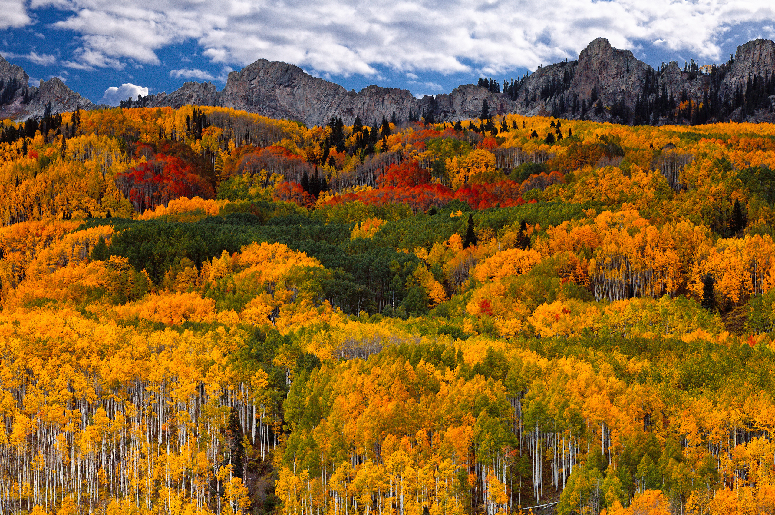 Laden Sie das Landschaft, Herbst, Wald, Baum, Gebirge, Wolke, Erde/natur-Bild kostenlos auf Ihren PC-Desktop herunter