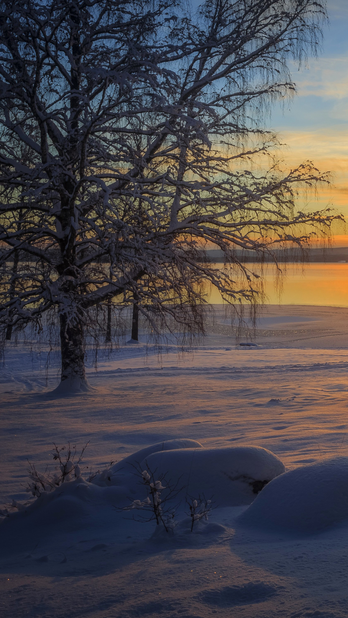 Descarga gratuita de fondo de pantalla para móvil de Invierno, Nieve, Árbol, Atardecer, Tierra/naturaleza, Puesta De Sol.