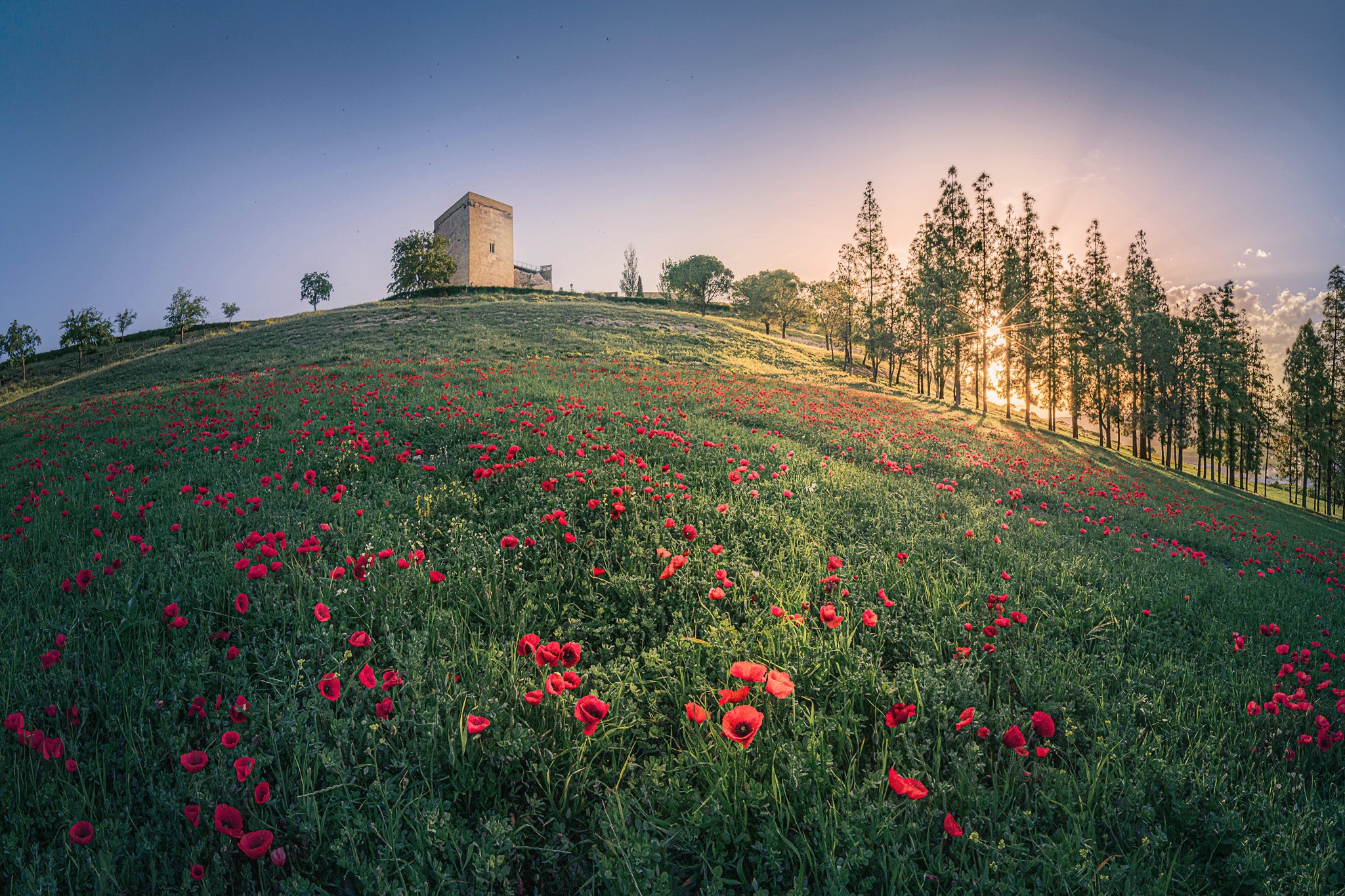 Handy-Wallpaper Landschaft, Fotografie kostenlos herunterladen.