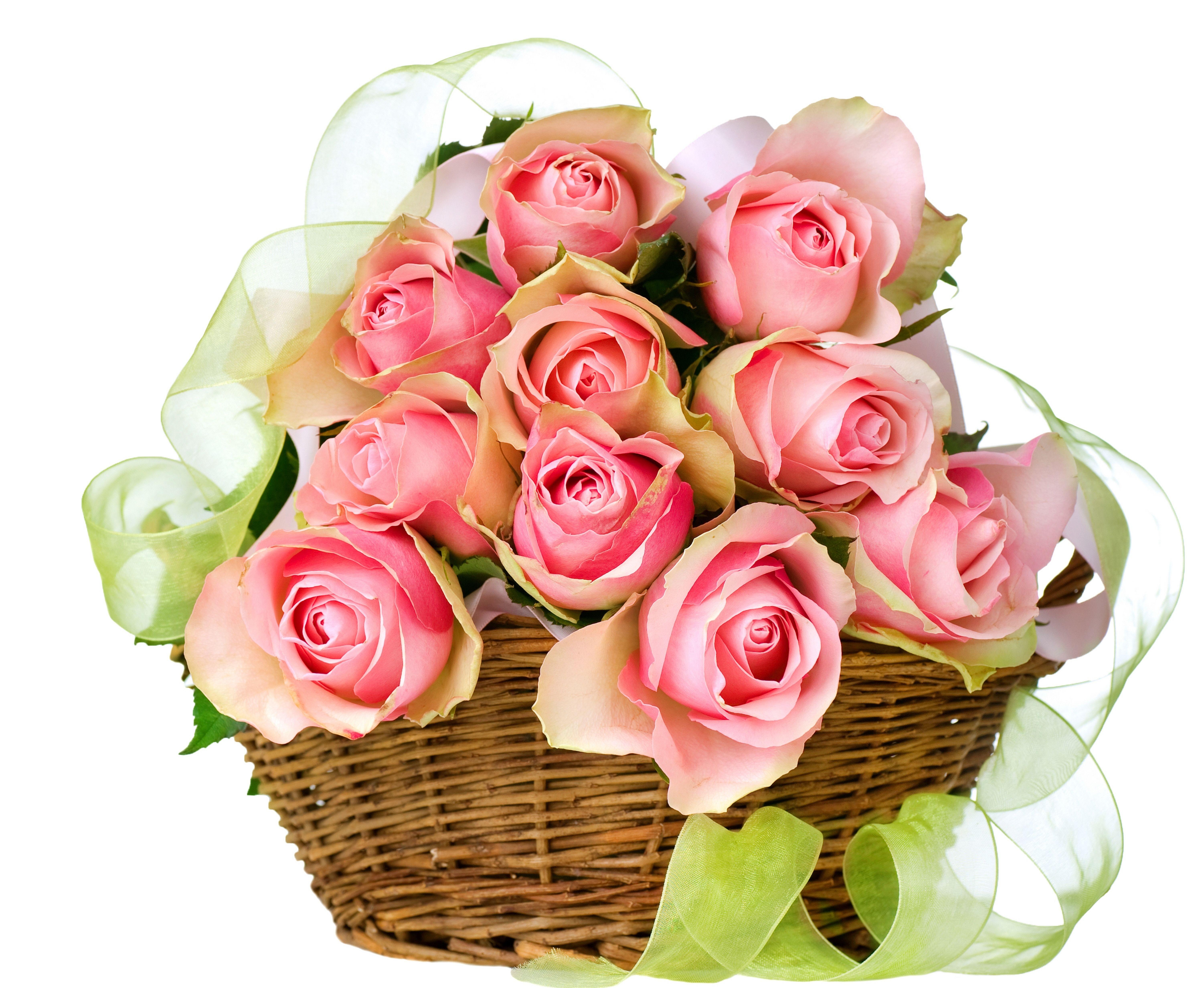 Free download wallpaper Flower, Rose, Basket, Man Made, Pink Flower, Pink Rose on your PC desktop