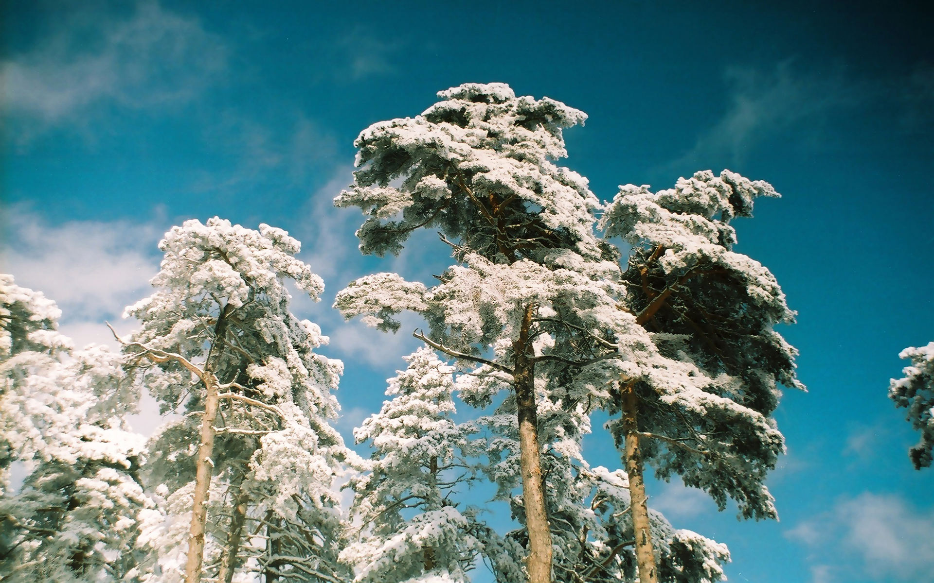 Descarga gratuita de fondo de pantalla para móvil de Invierno, Tierra/naturaleza.