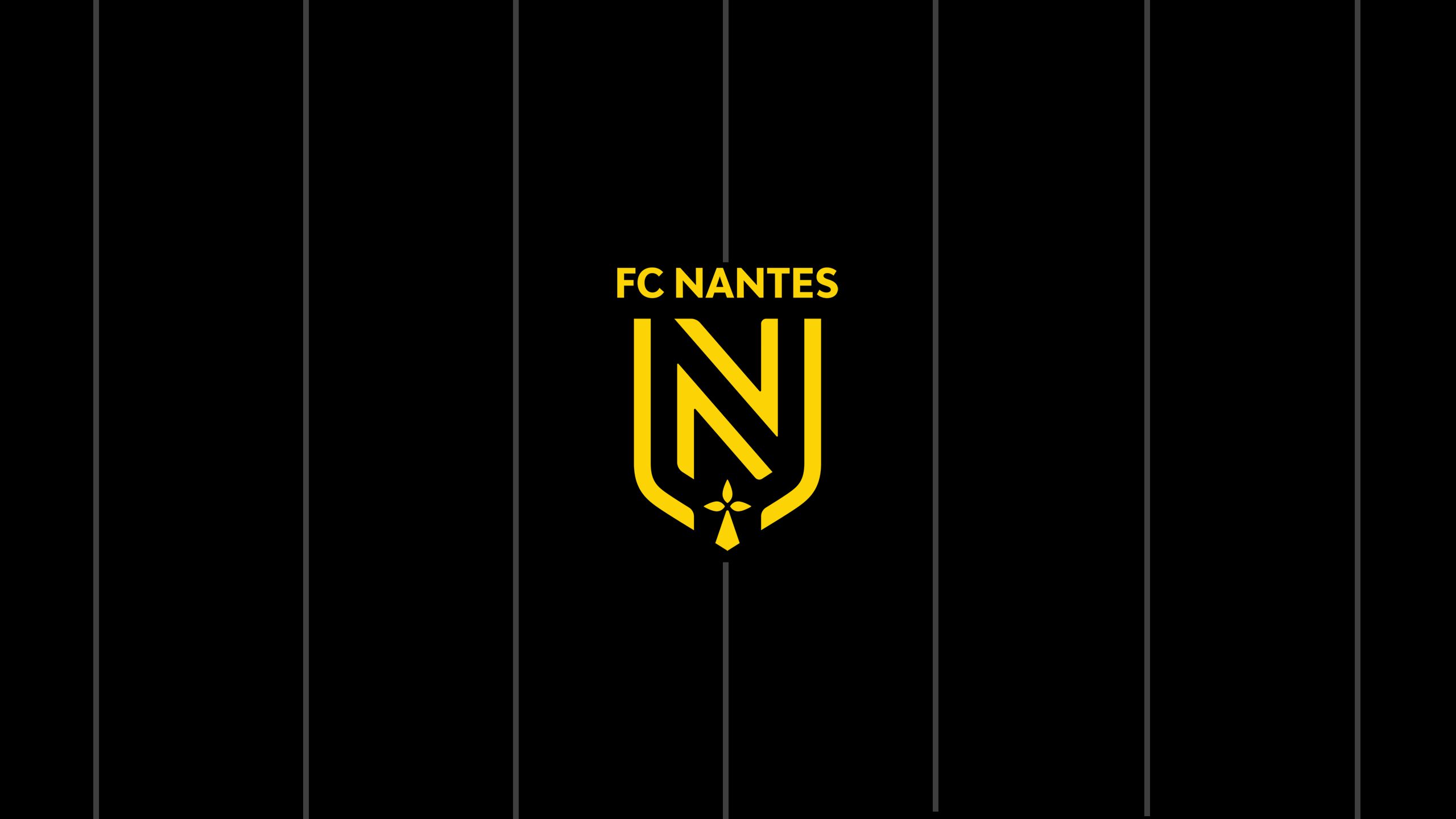 Die besten Fc Nantes-Hintergründe für den Telefonbildschirm