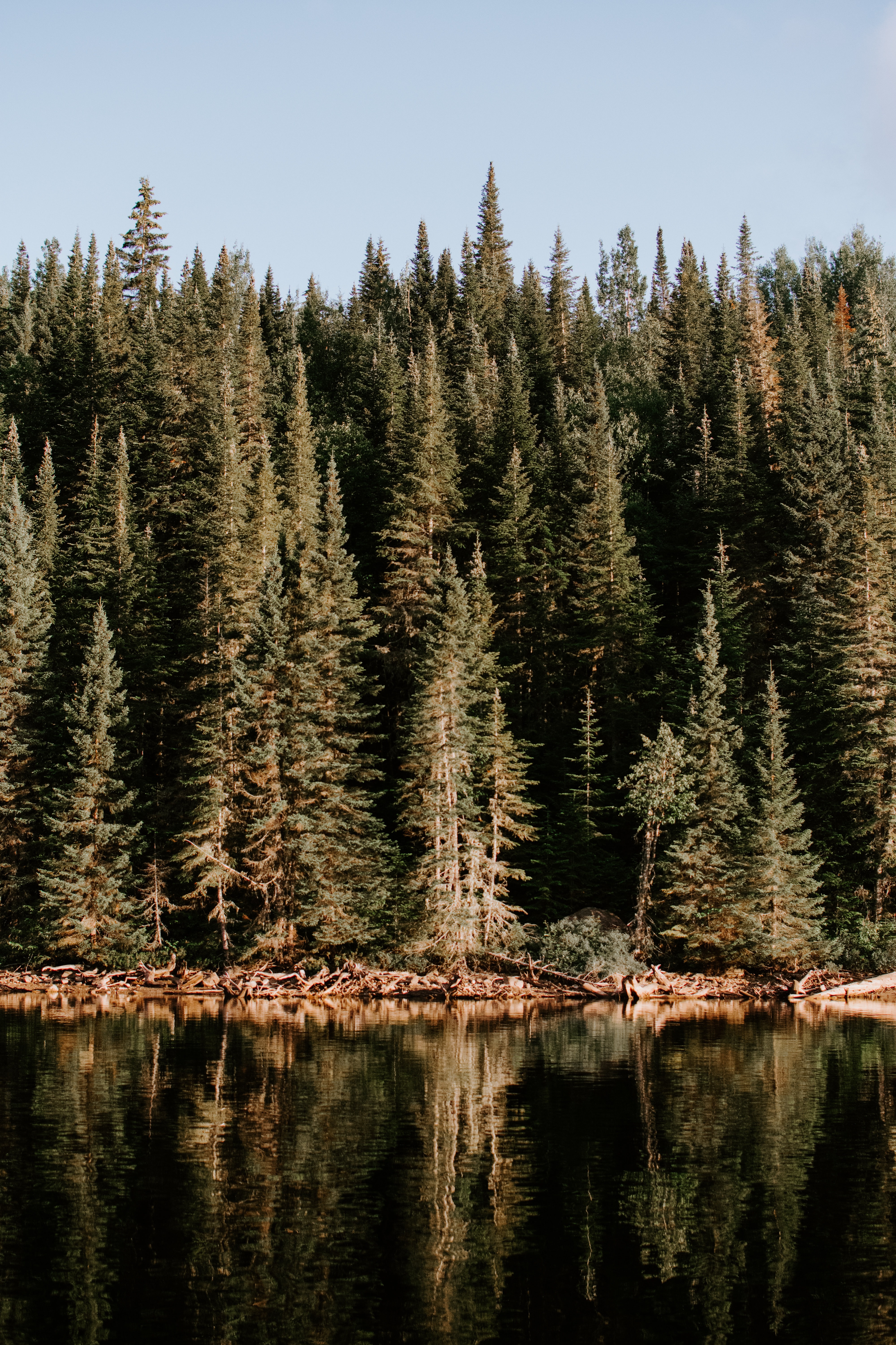 Descarga gratuita de fondo de pantalla para móvil de Naturaleza, Árboles, Reflexión, Bosque, Agua, Lago.