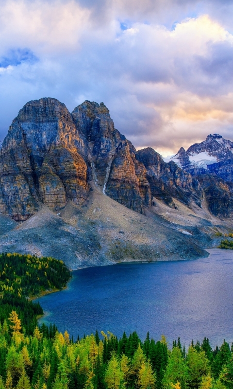 mount assiniboine, mountains, earth, nature, tree, forest, canada, mountain, lake