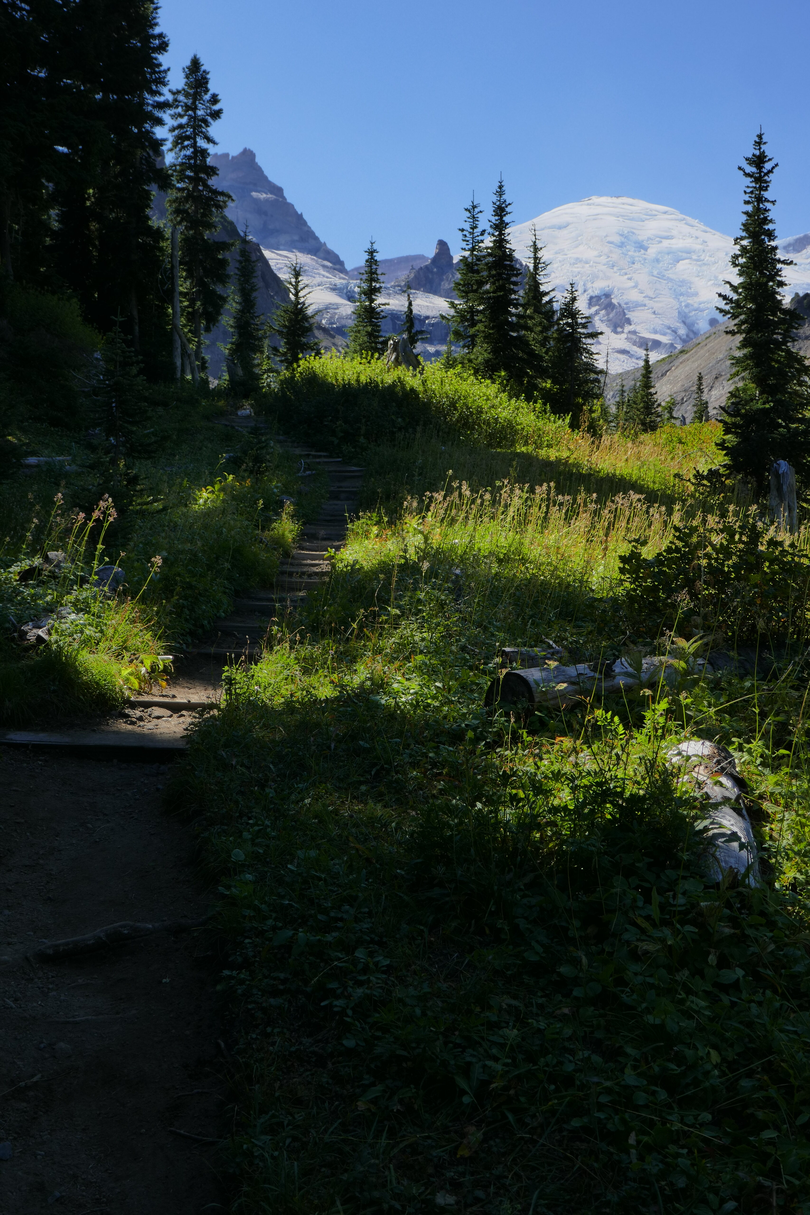 path, nature, trees, grass, mountains 4K