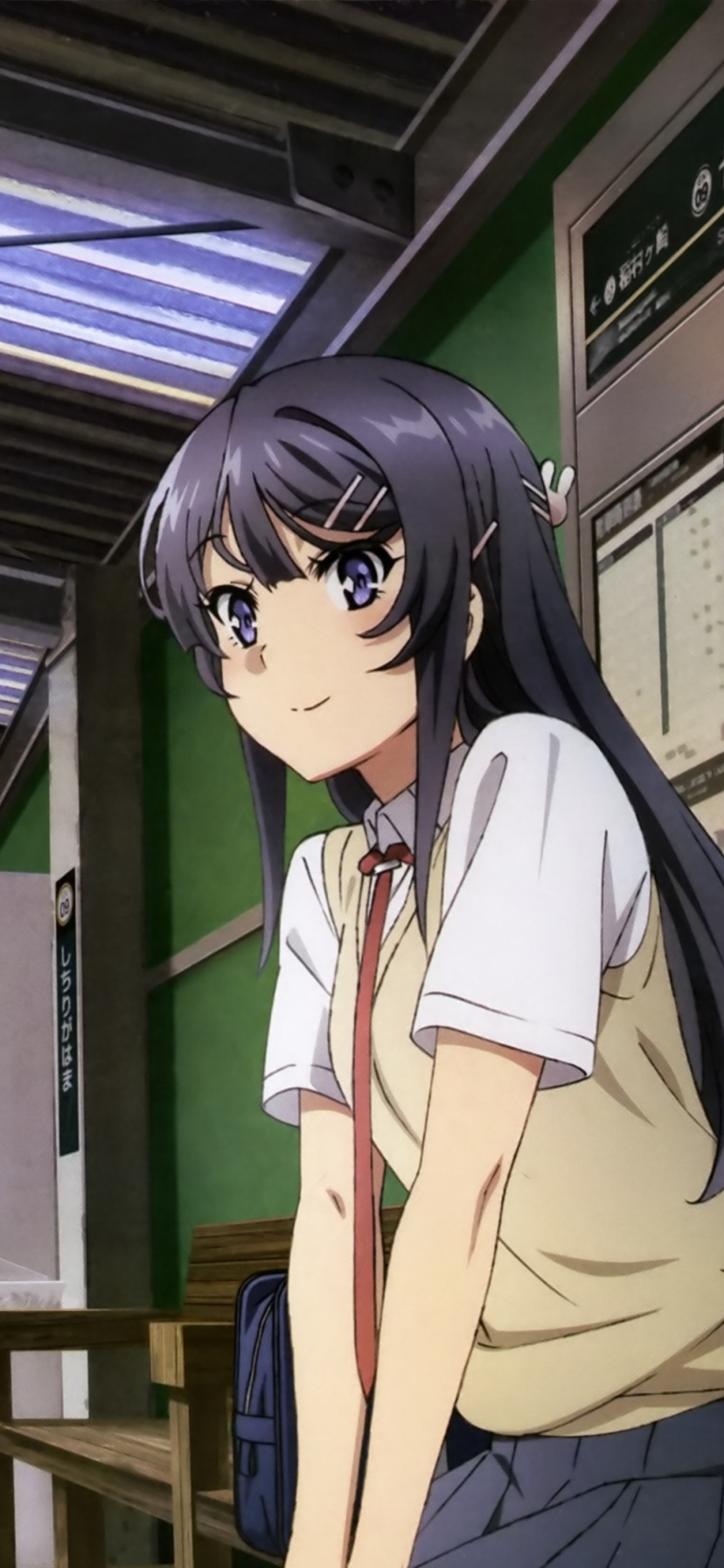 Descarga gratuita de fondo de pantalla para móvil de Animado, Mai Sakurajima, Seishun Buta Yaro Wa Bunny Girl Senpai No Yume Wo Minai.