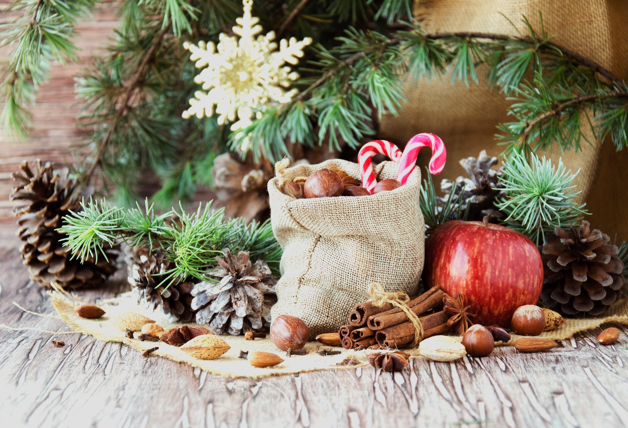 Download mobile wallpaper Apple, Cinnamon, Christmas, Holiday, Candy Cane, Pine Cone for free.