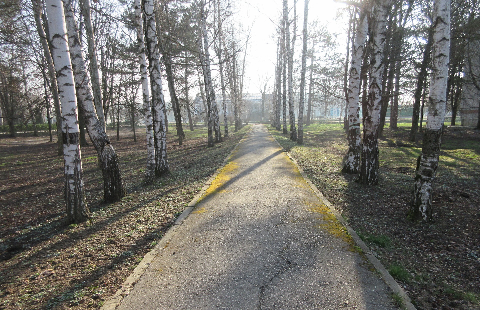 Скачати мобільні шпалери Дорога, Створено Людиною безкоштовно.