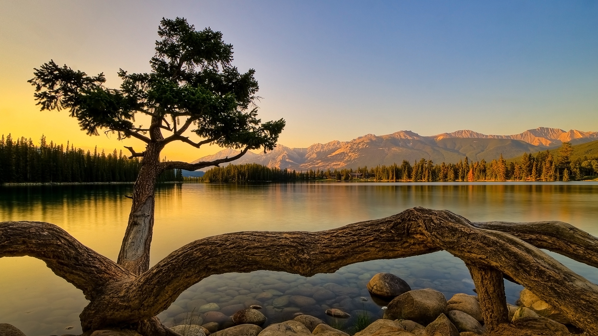 Free download wallpaper Water, Sky, Lakes, Lake, Tree, Earth on your PC desktop