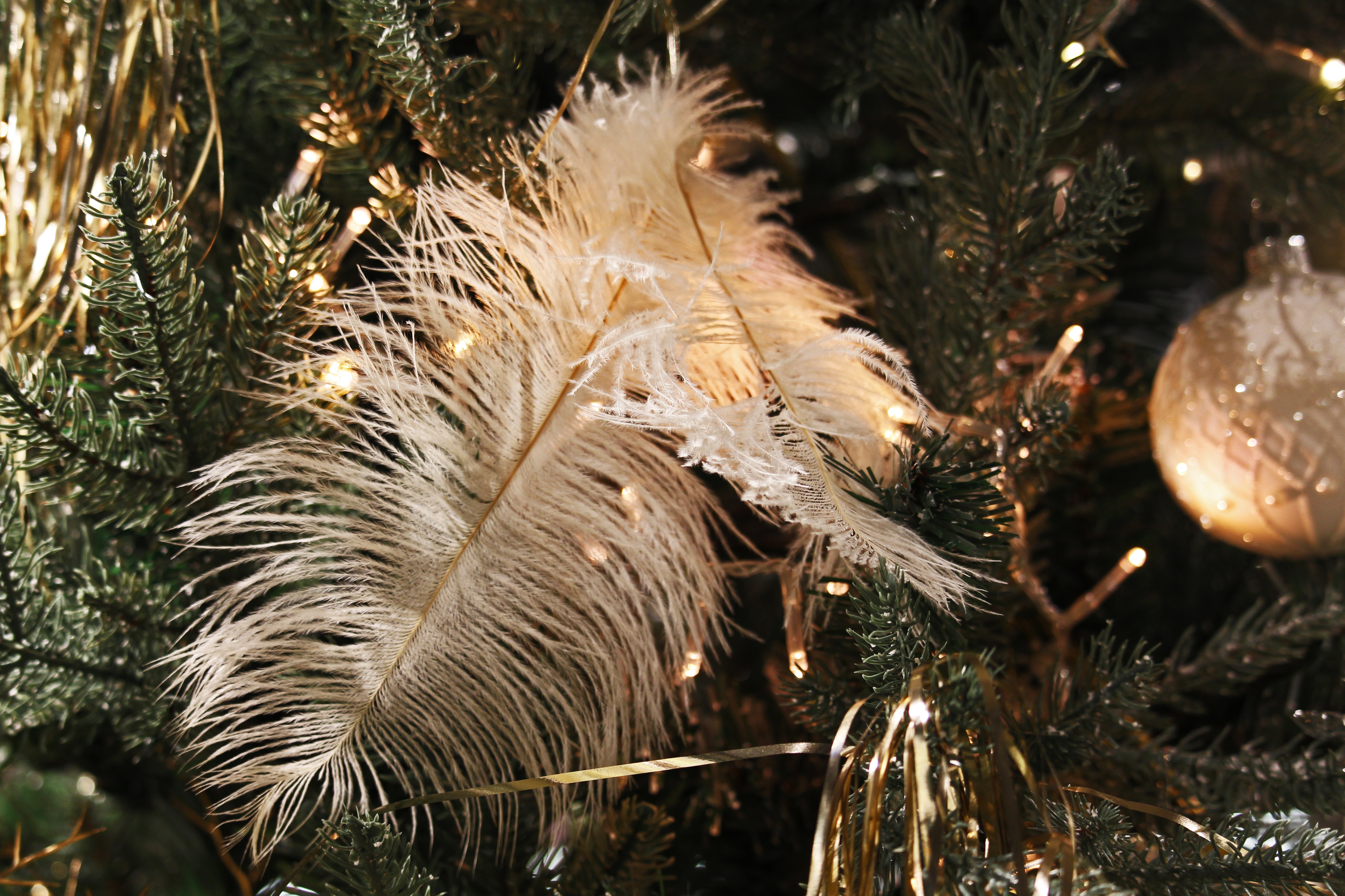 Download mobile wallpaper Feather, Christmas, Holiday, Bauble for free.