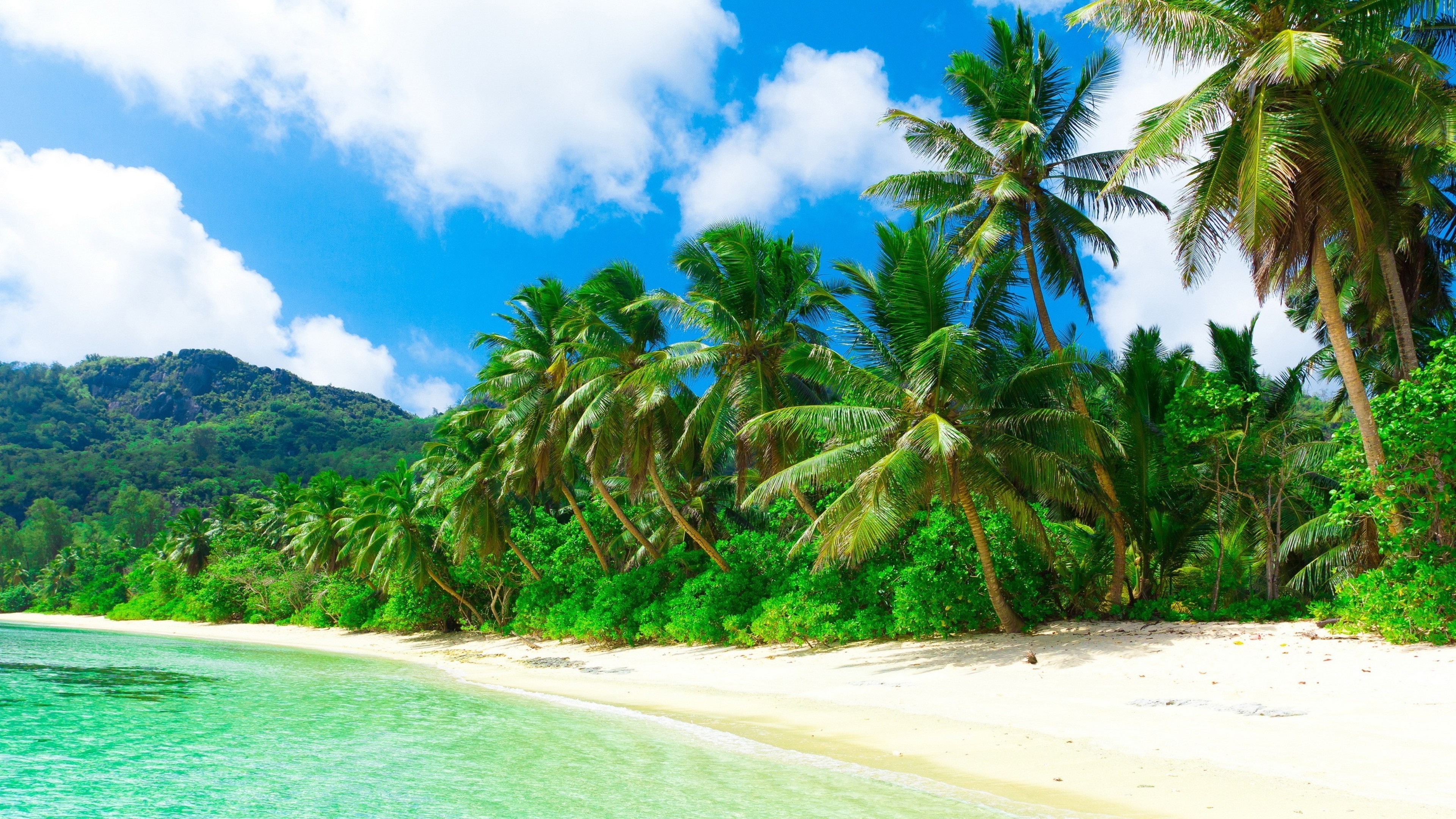 Скачать картинку Пальмы, Тропики, Остров, Тропический, Земля/природа в телефон бесплатно.