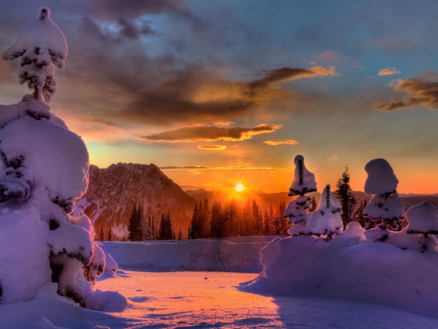 Free download wallpaper Winter, Nature, Sunset, Snow, Tree, Earth, Washington, Mount Rainier on your PC desktop