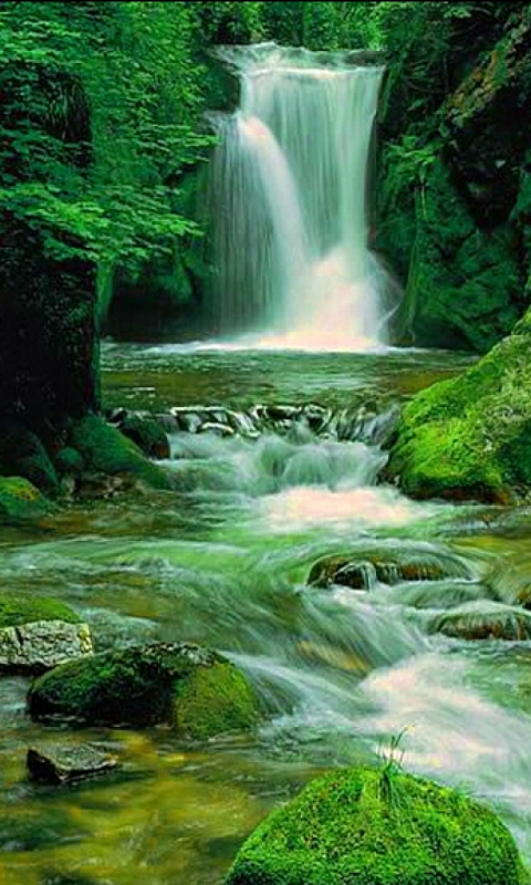 Скачать картинку Природа, Водопады, Водопад, Лес, Зеленый, Земля/природа в телефон бесплатно.