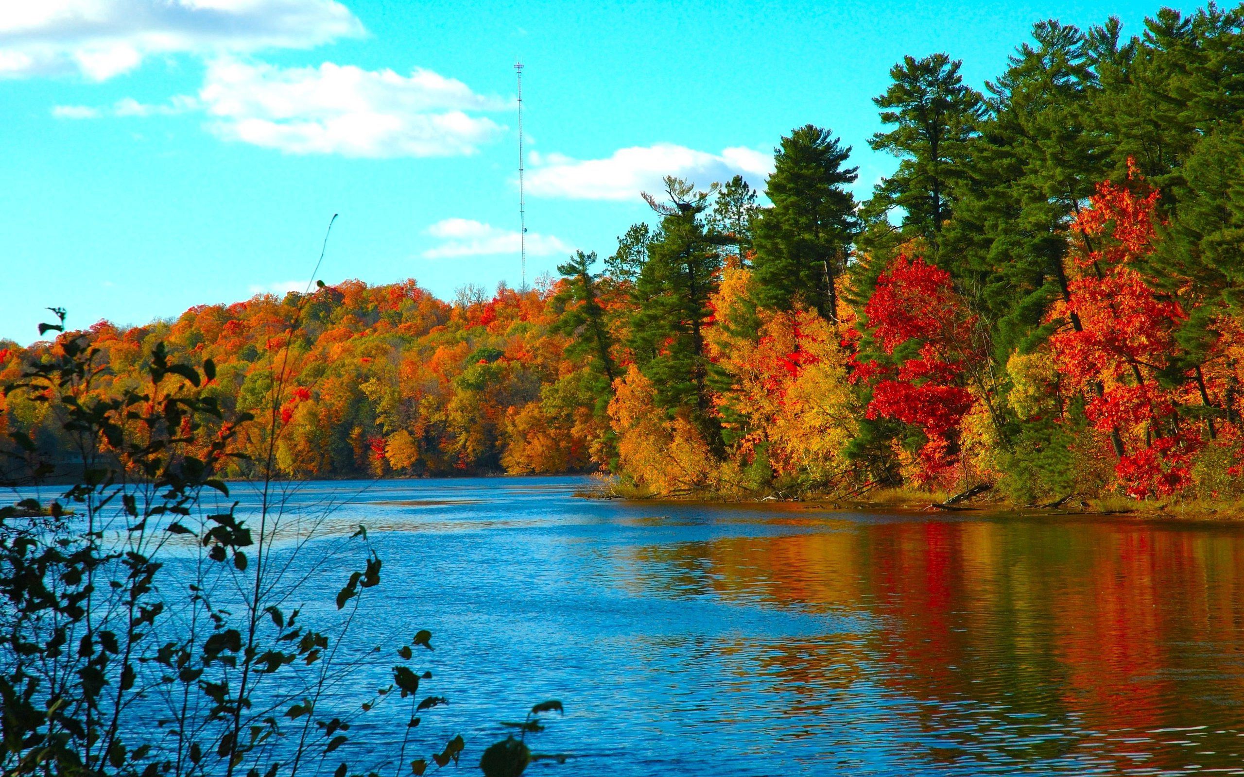 Скачать обои бесплатно Течение, Осень, Река, Деревья, Природа картинка на рабочий стол ПК