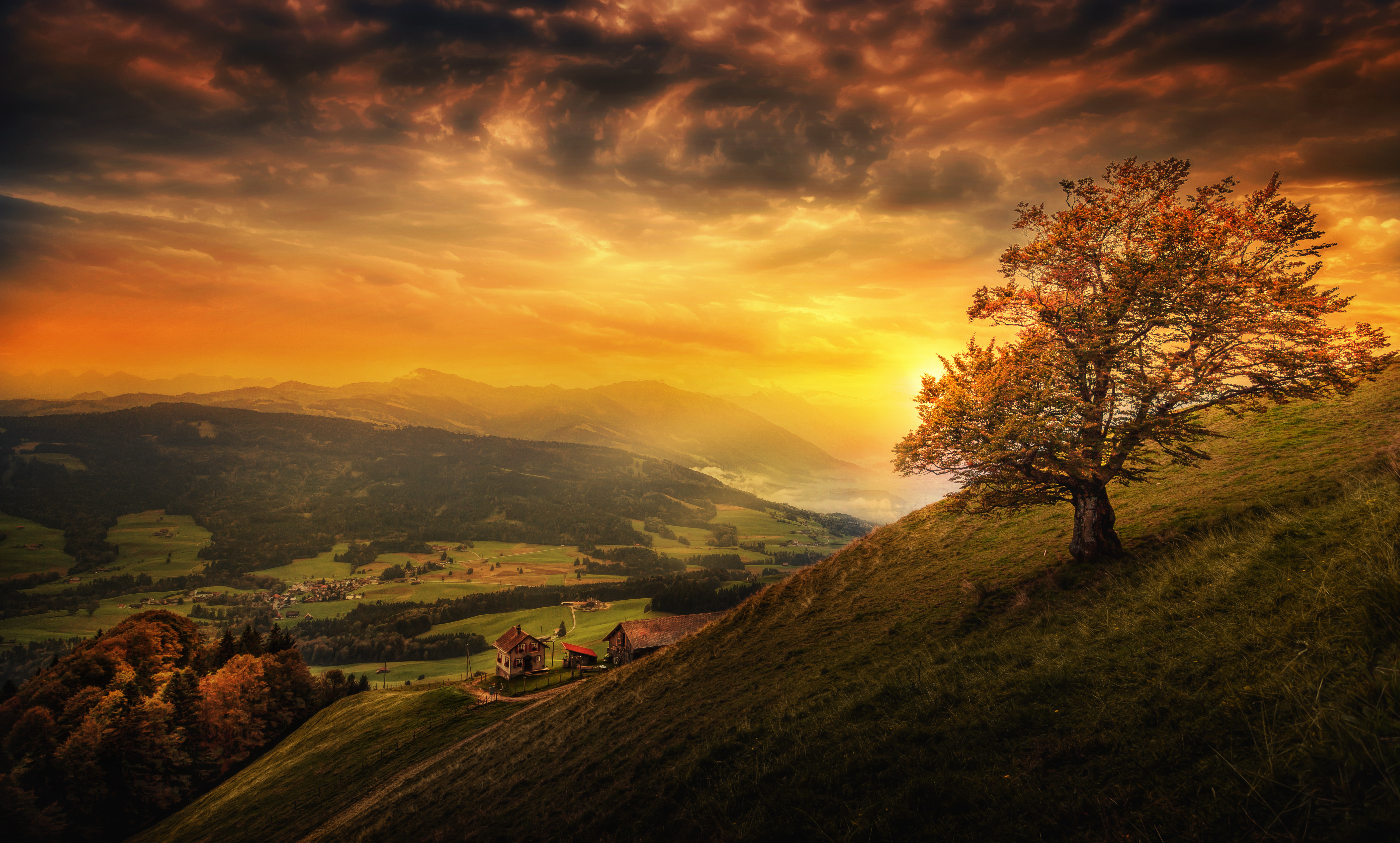 1523419 télécharger l'image arbre solitaire, colline, coucher de soleil, photographie, paysage, nuage, soirée, suisse, arbre, vallée - fonds d'écran et économiseurs d'écran gratuits