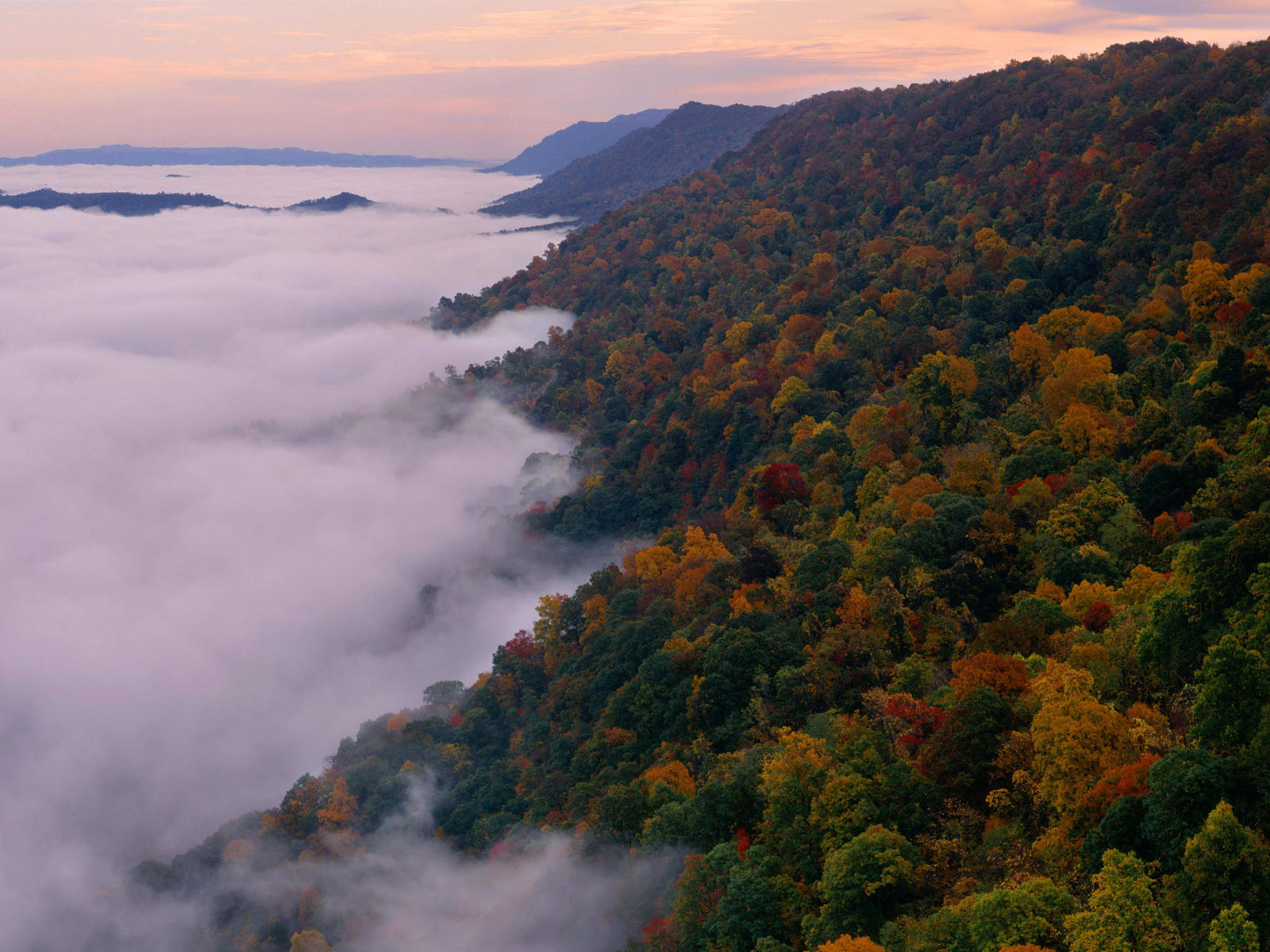 PCデスクトップに風景, 森, 霧, 地球, 写真撮影, クラウド画像を無料でダウンロード