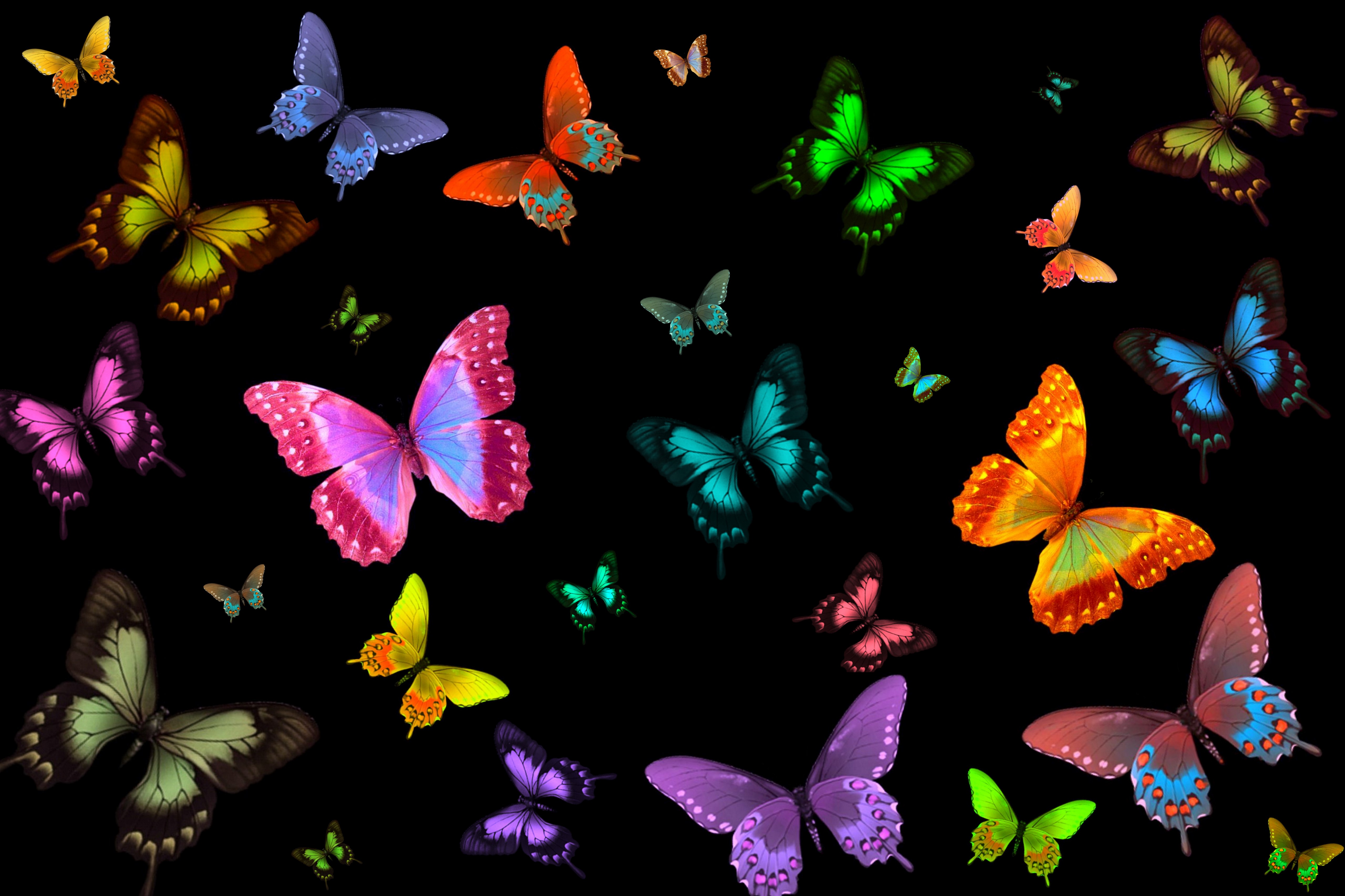 Скачать картинку Цвета, Бабочка, Красочный, Художественные в телефон бесплатно.