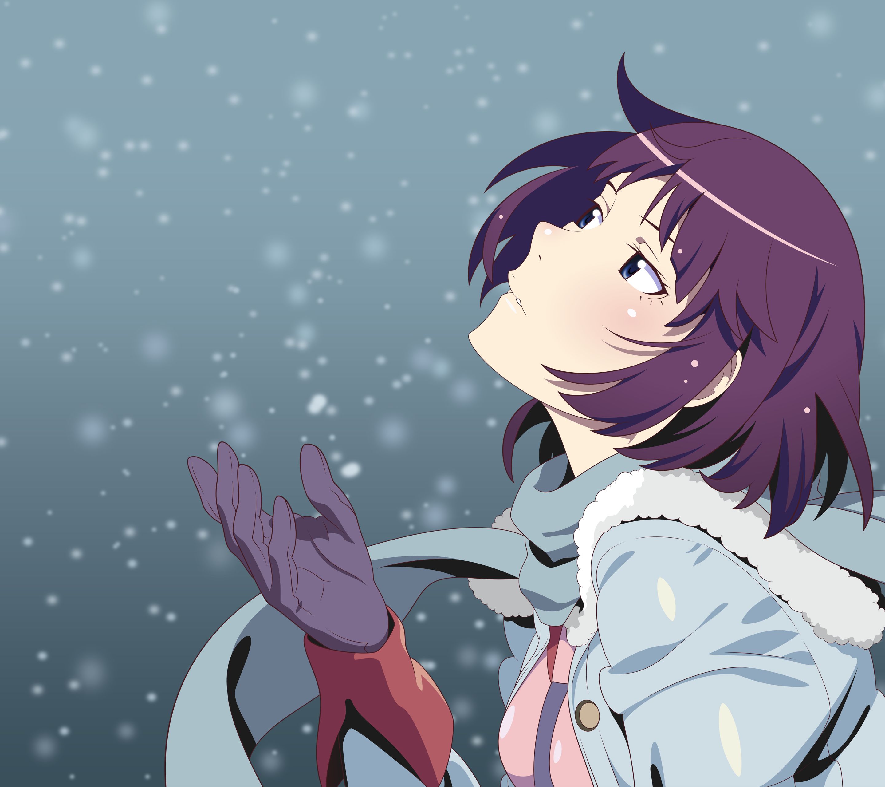Laden Sie das Schneefall, Lila Haare, Animes, Monogatari (Serie), Hitagi Senjogahara, Bakemonogatari-Bild kostenlos auf Ihren PC-Desktop herunter