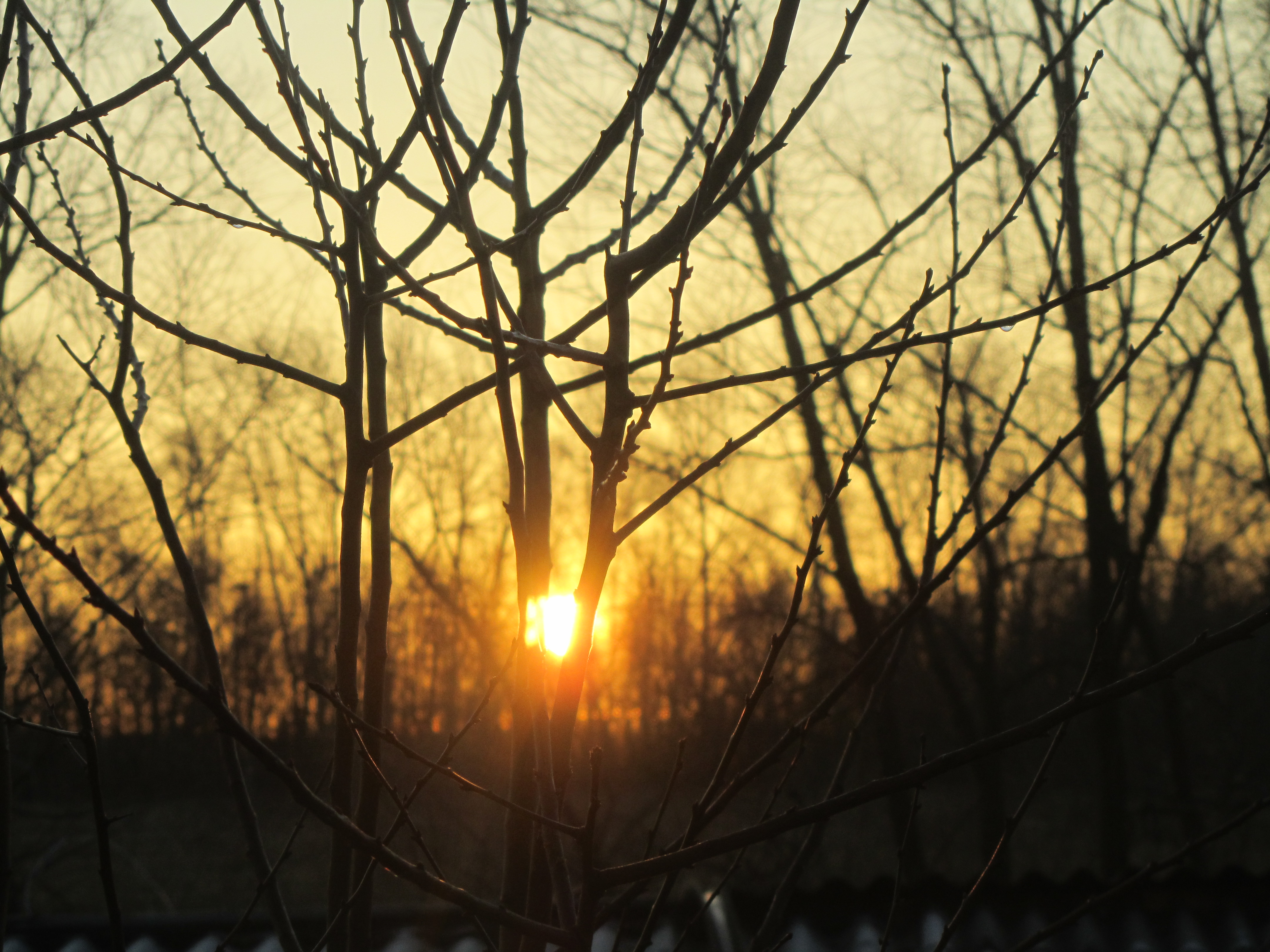 Handy-Wallpaper Sonnenaufgang, Erde/natur kostenlos herunterladen.