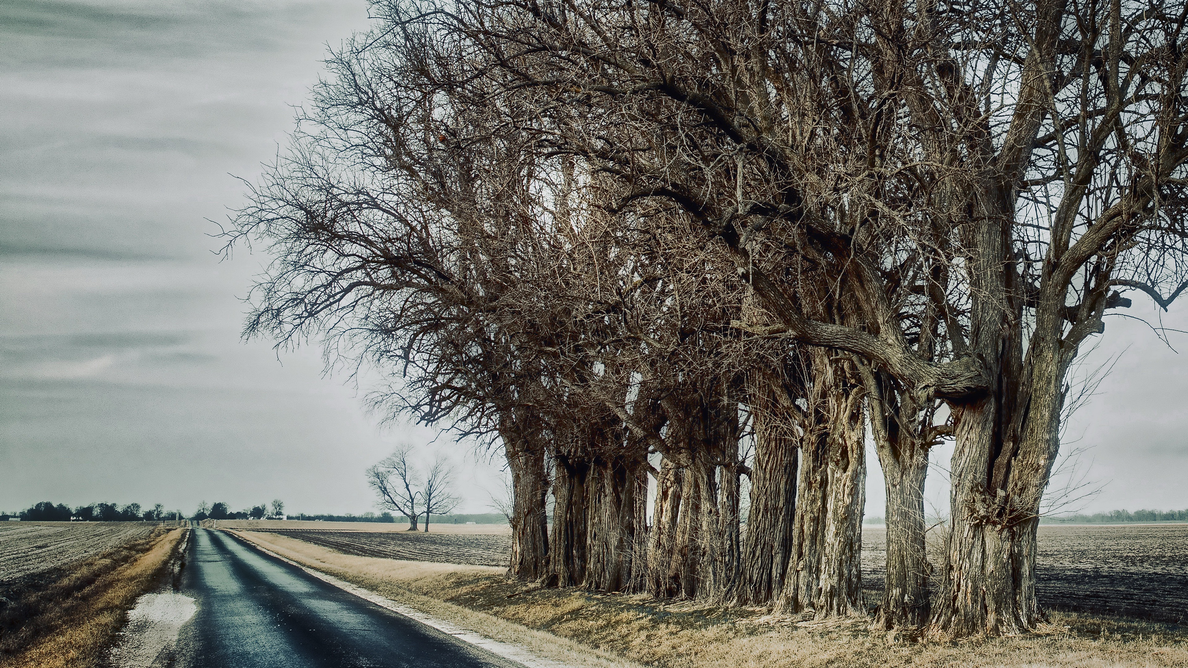 Free download wallpaper Nature, Road, Tree, Man Made on your PC desktop