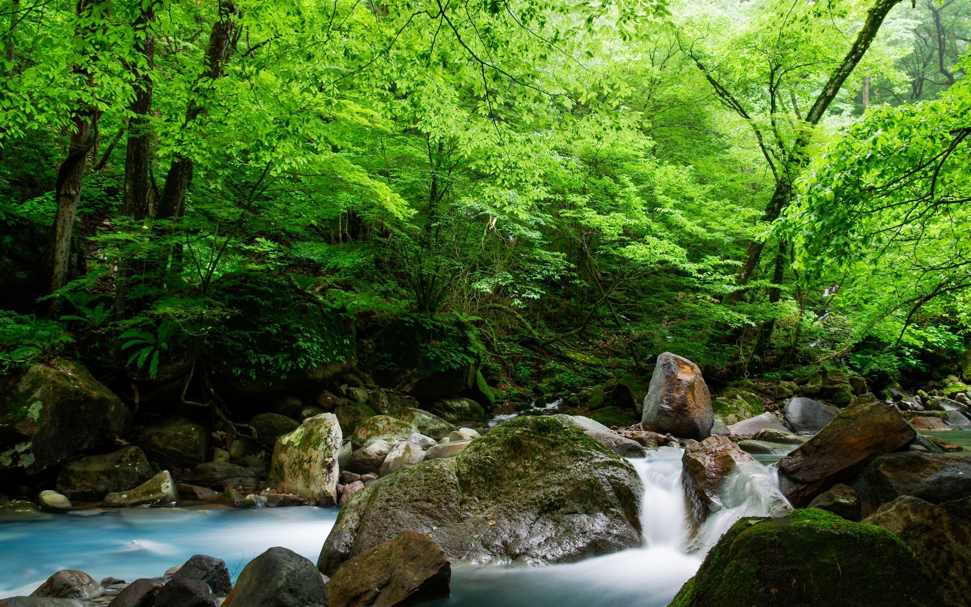 Handy-Wallpaper Fluss, Erde/natur kostenlos herunterladen.