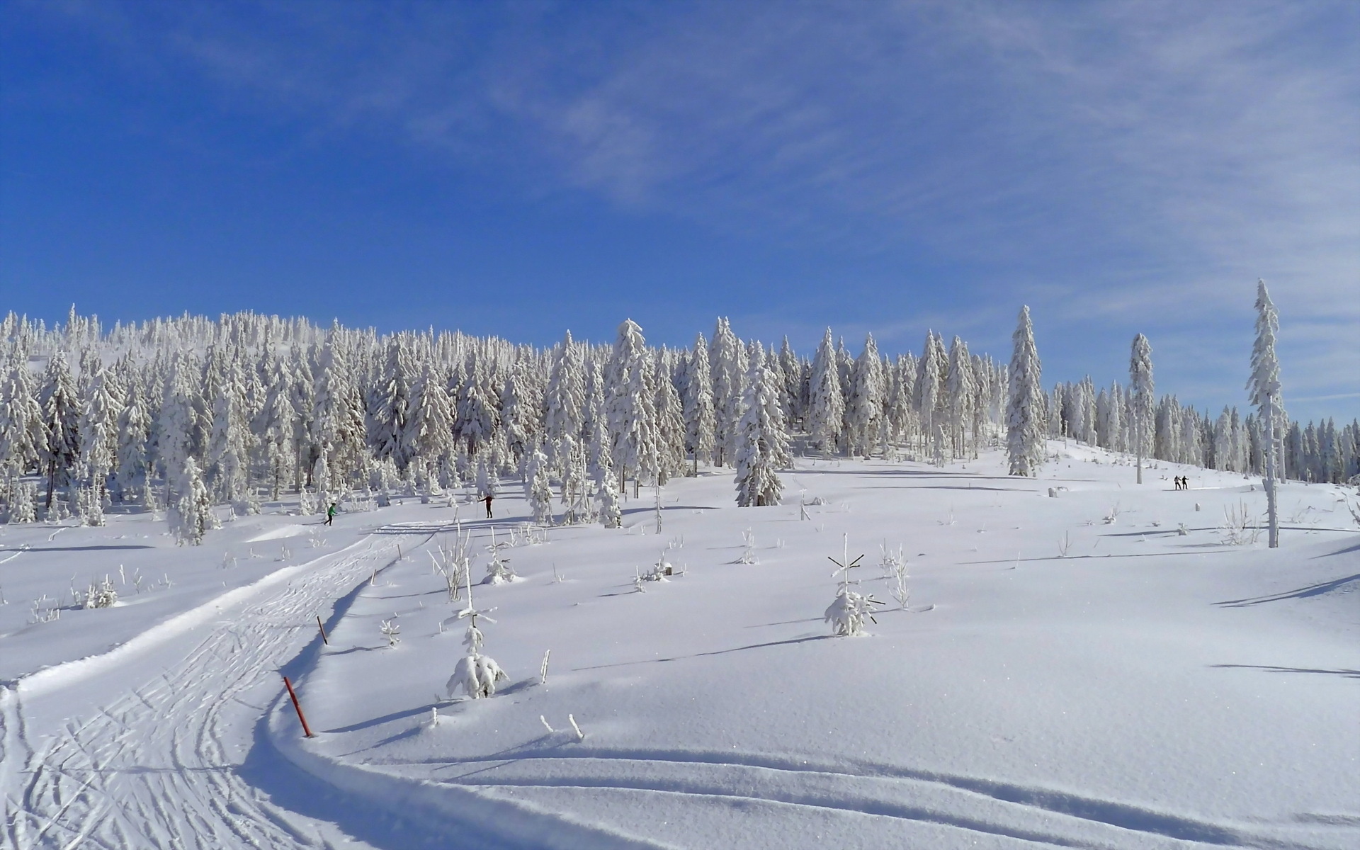 Handy-Wallpaper Winter, Erde/natur kostenlos herunterladen.