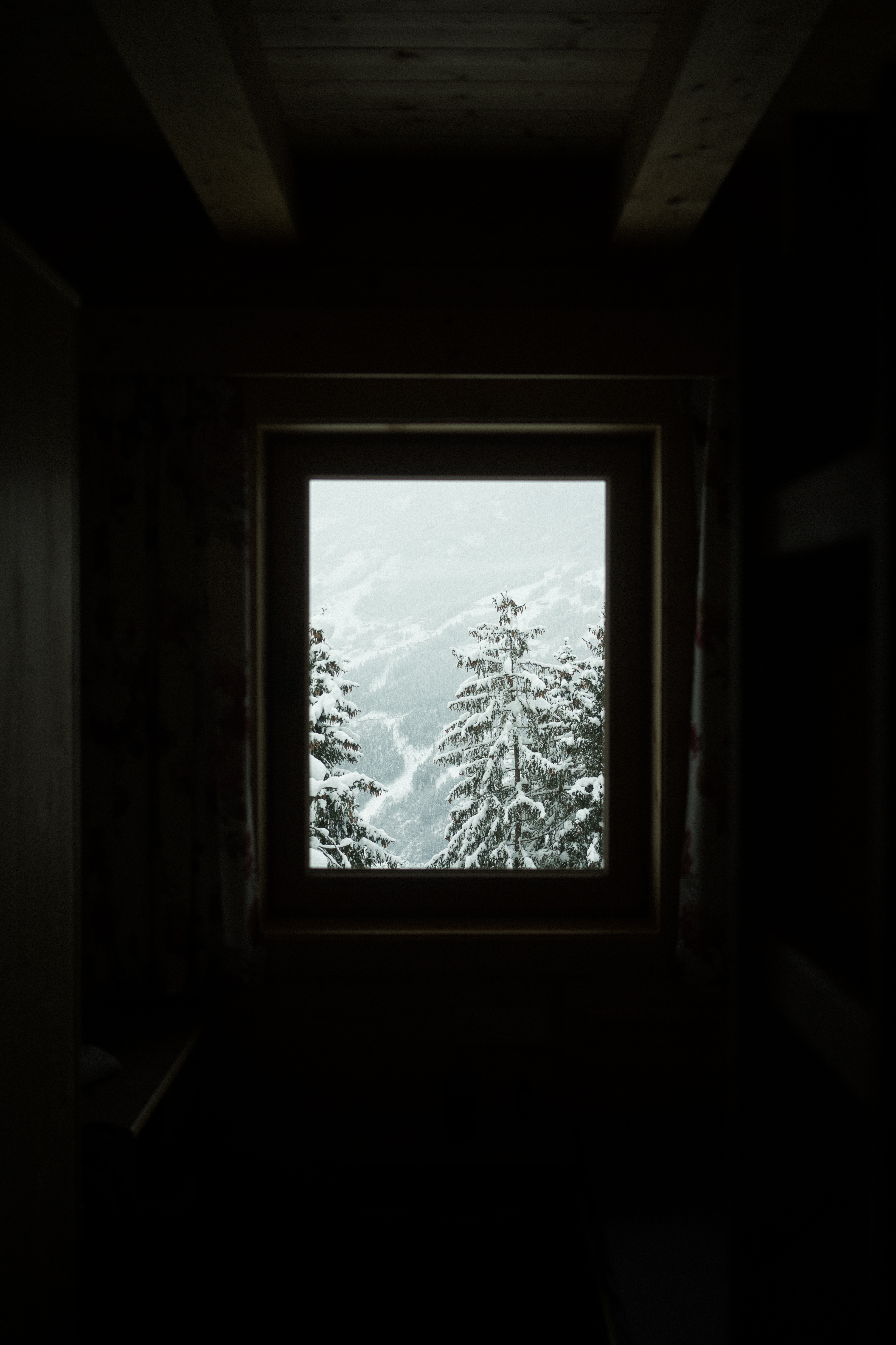 Download mobile wallpaper Window, Snowbound, Snow Covered, Trees, Winter, Dark for free.