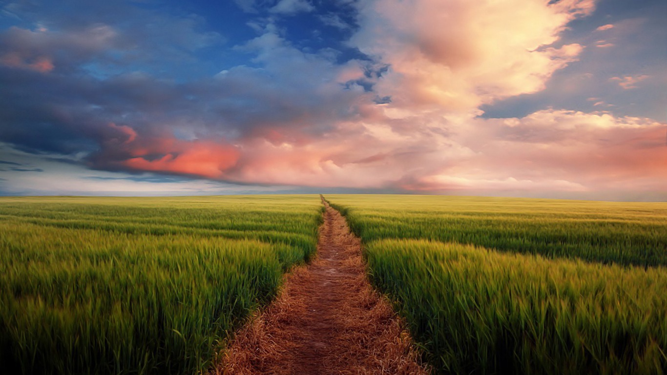 Download mobile wallpaper Nature, Grass, Earth, Field, Path, Cloud for free.