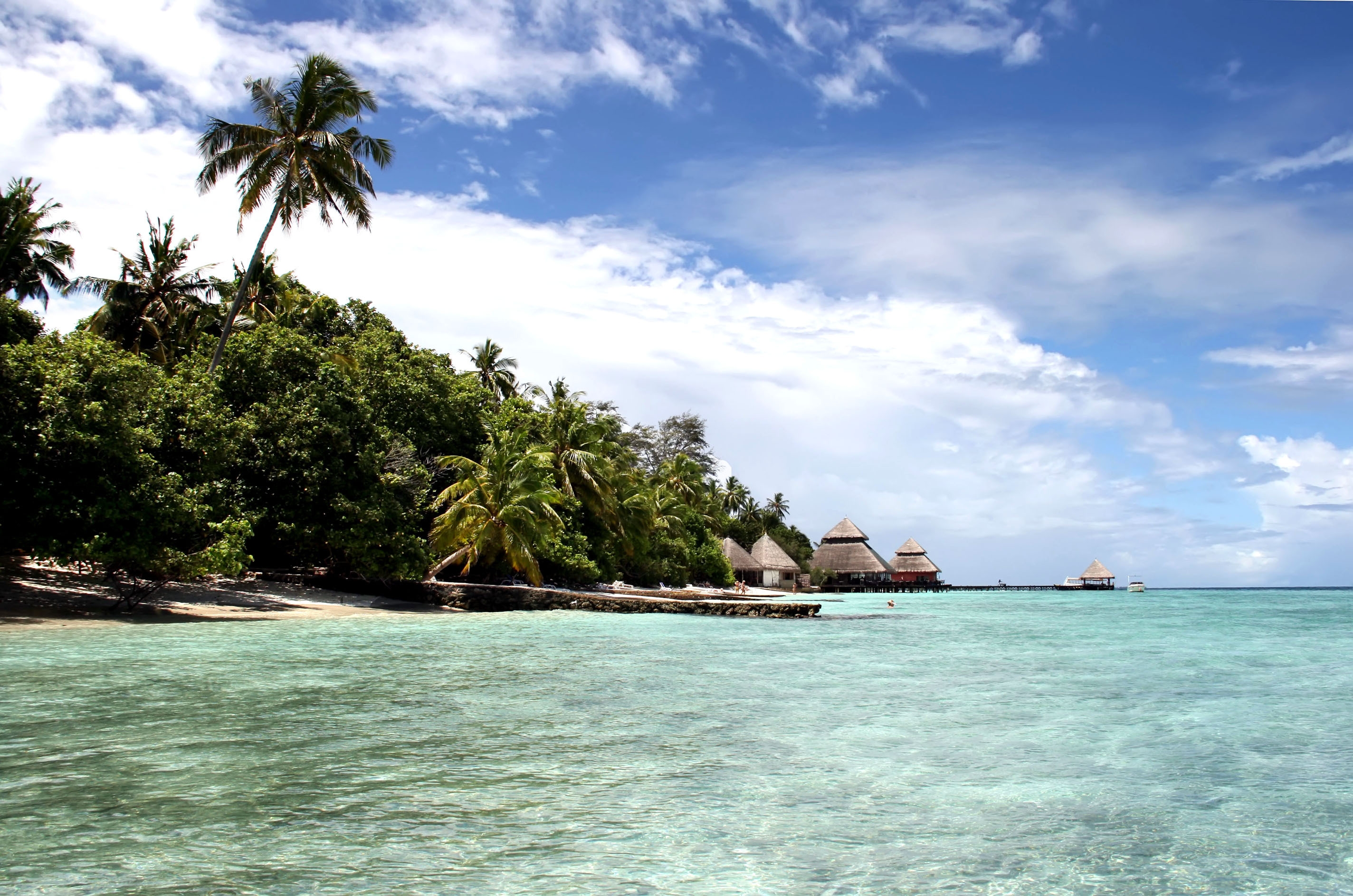 138269 baixar imagens palms, natureza, costa, banco, oceano, ilha, baía, maldivas - papéis de parede e protetores de tela gratuitamente