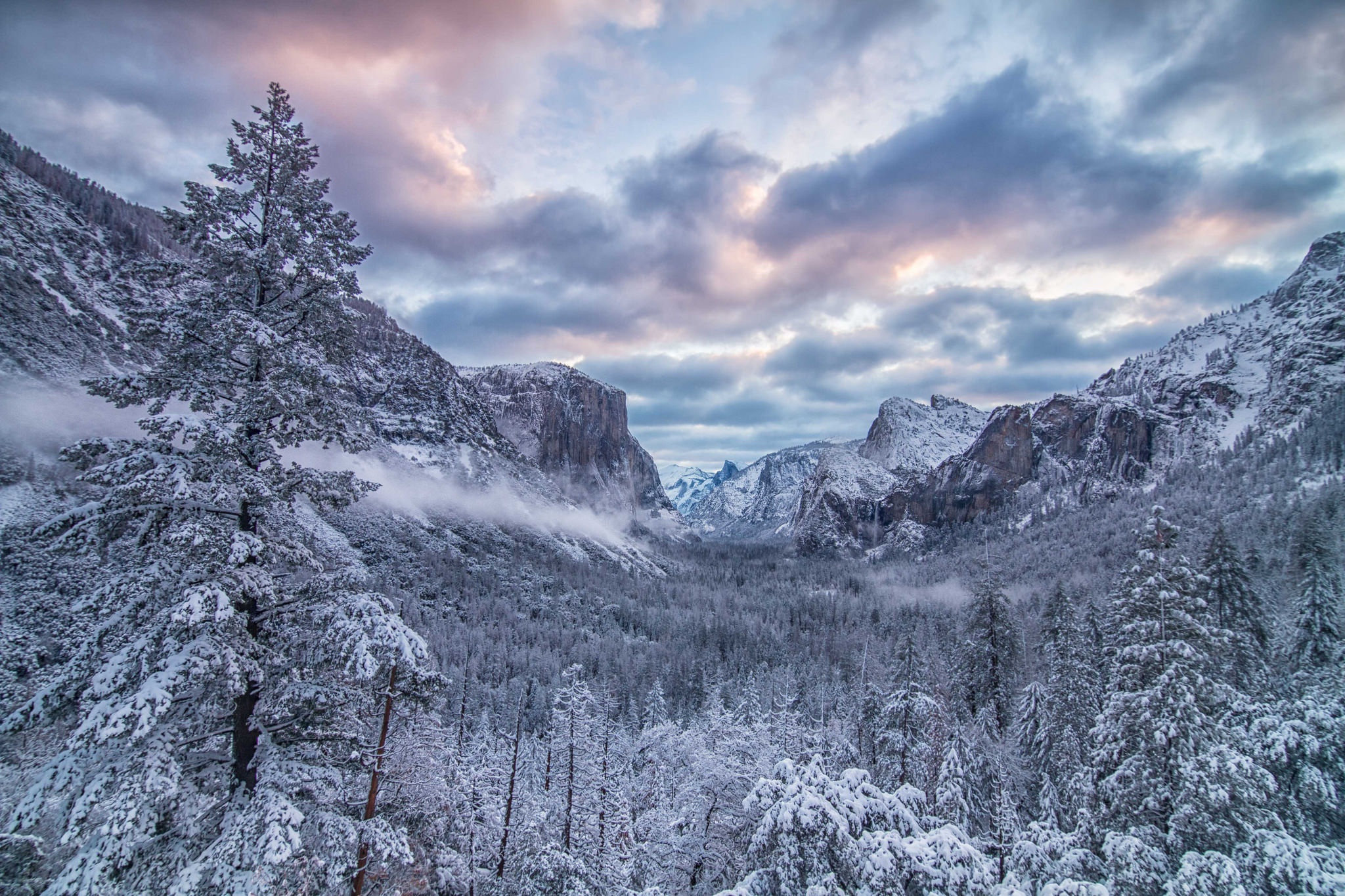 Descarga gratuita de fondo de pantalla para móvil de Paisaje, Invierno, Naturaleza, Bosque, Nube, Tierra/naturaleza.