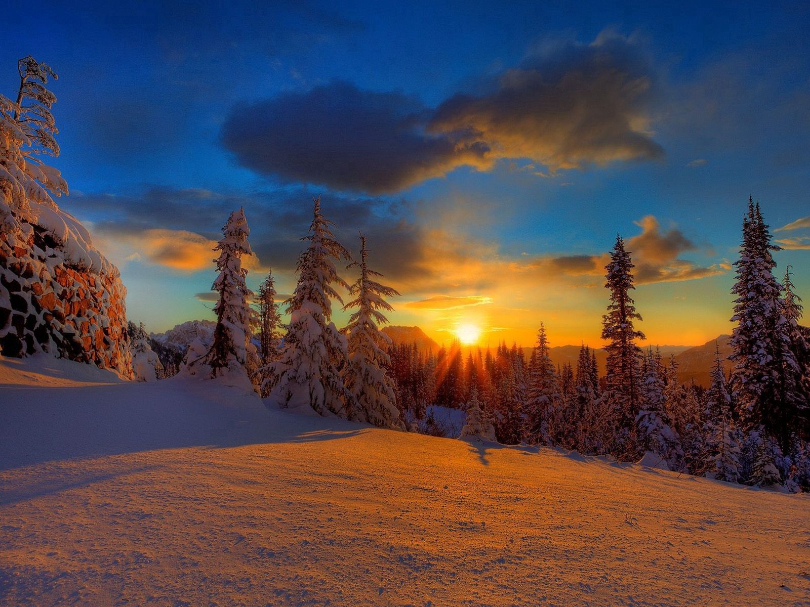 sun, ate, nature, trees, sunset, snow, shadow, evening Full HD