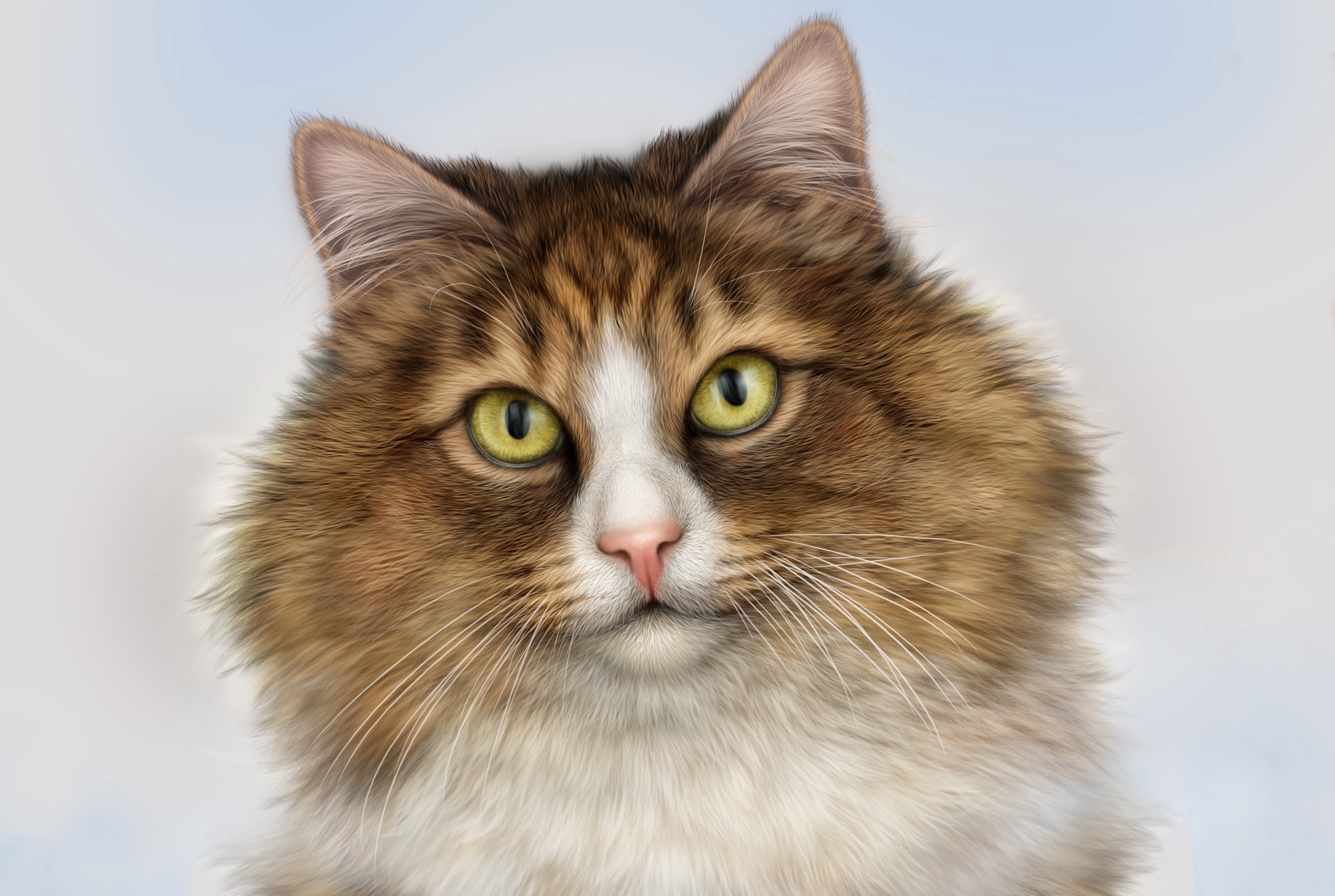 Descarga gratis la imagen Animales, Gatos, Gato, Pintura, Cara en el escritorio de tu PC