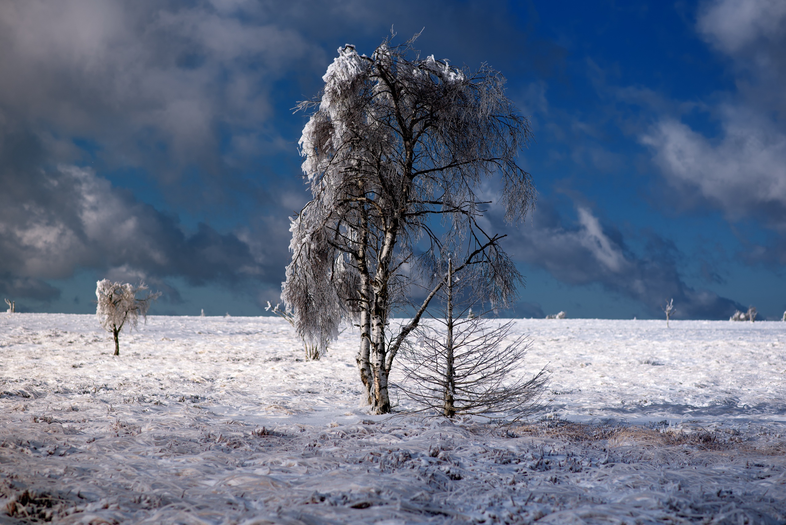 Download mobile wallpaper Winter, Nature, Sky, Snow, Horizon, Tree, Earth, Cloud for free.