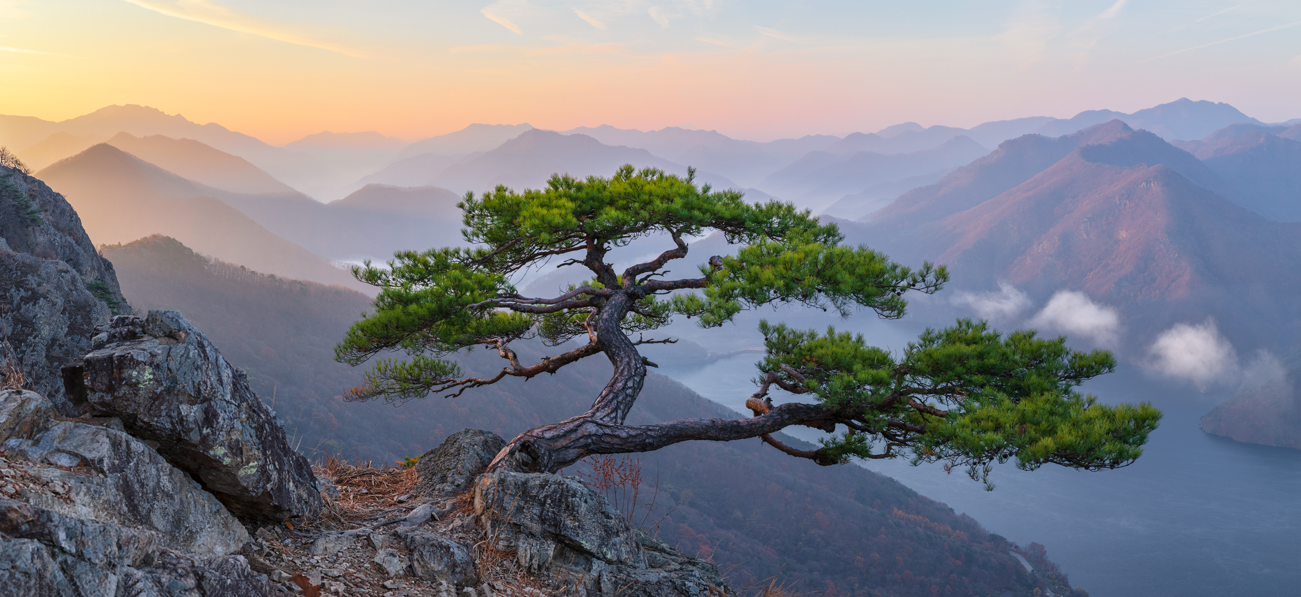Free download wallpaper Trees, Mountain, Tree, Earth on your PC desktop
