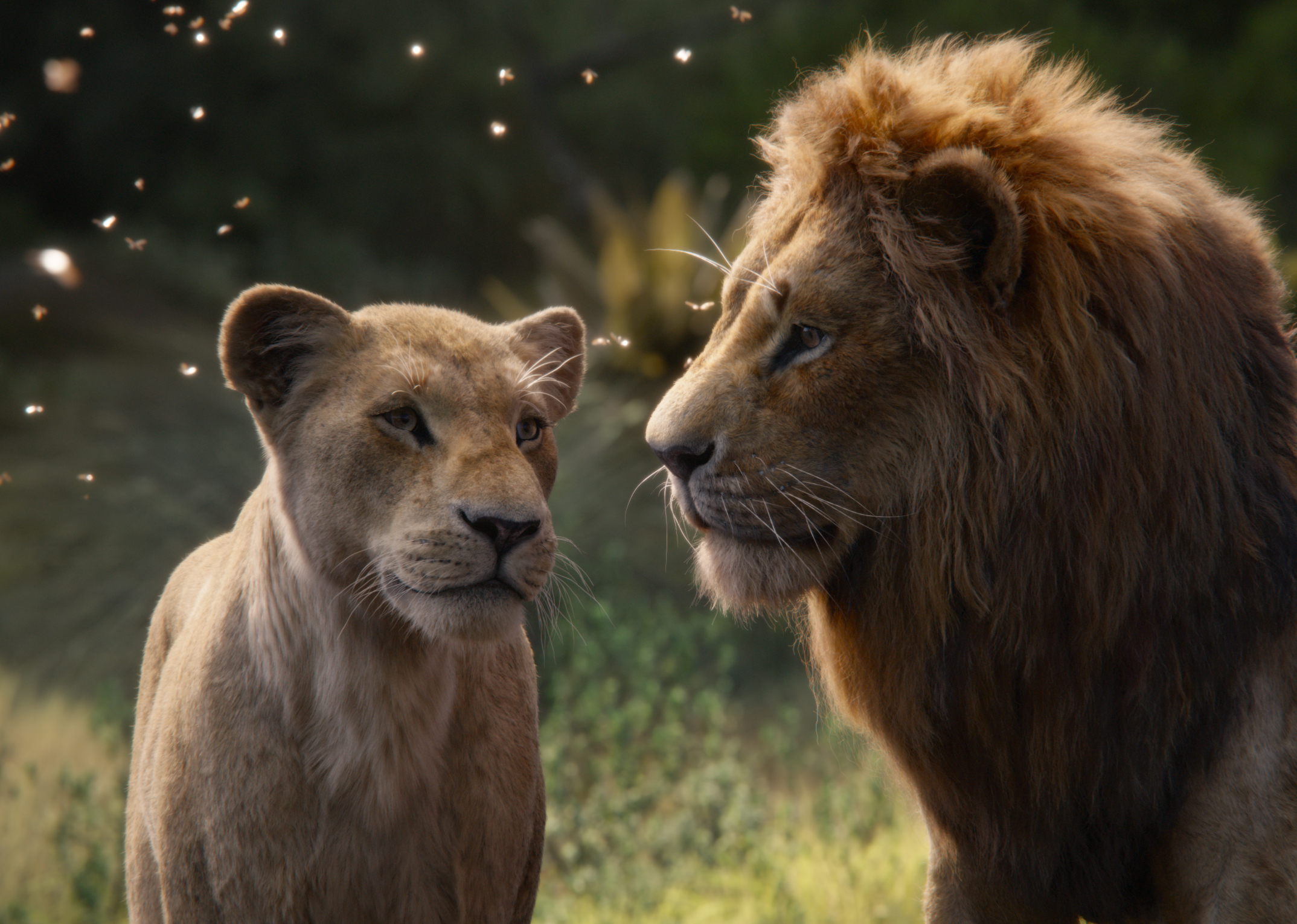 951388 télécharger le fond d'écran nala (le roi lion), simba, film, le roi lion (2019) - économiseurs d'écran et images gratuitement