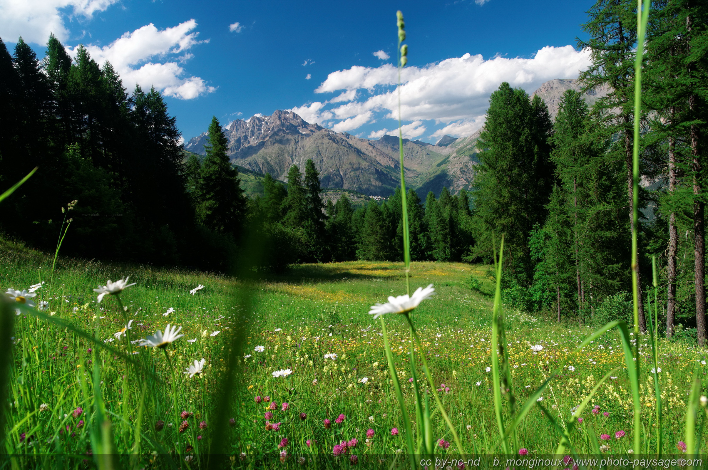 Free download wallpaper Landscape, Earth on your PC desktop