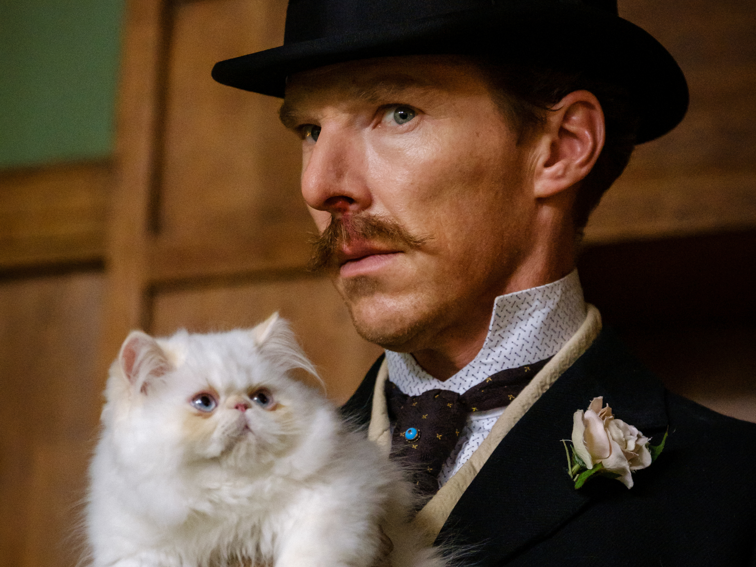 movie, the electrical life of louis wain, benedict cumberbatch