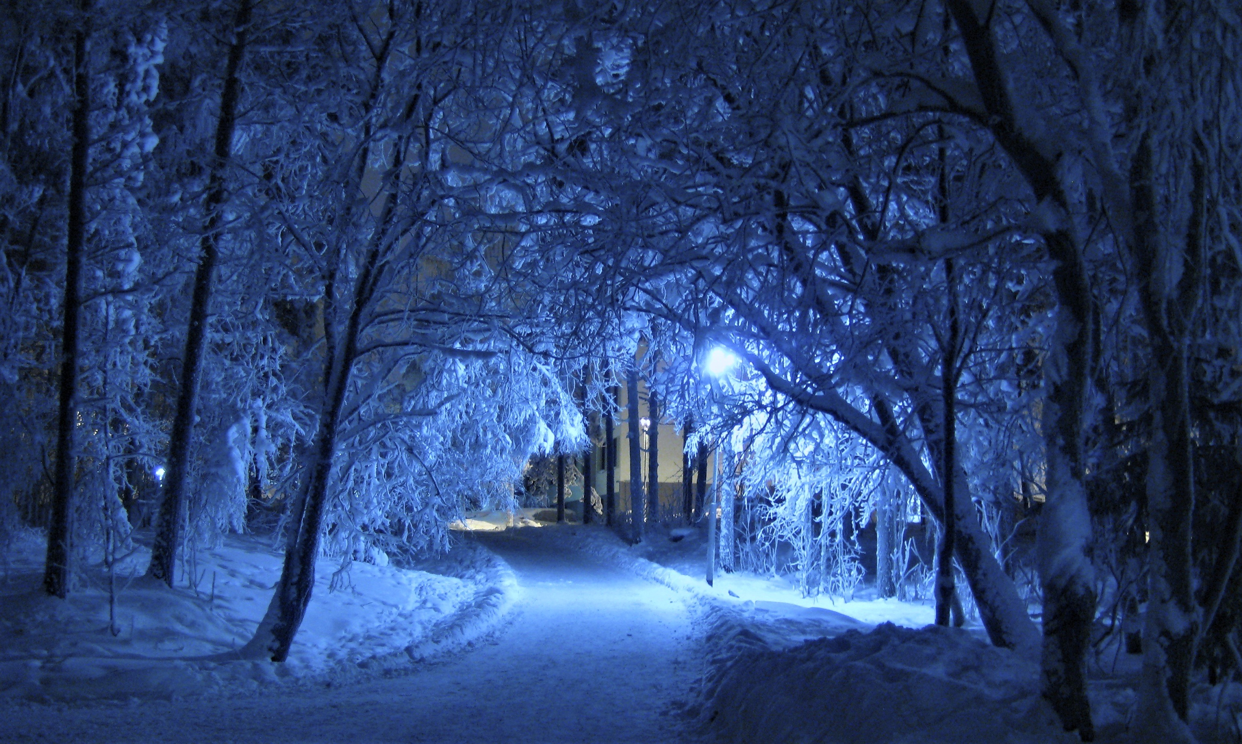 Download mobile wallpaper Winter, Night, Snow, Road, Tree, Photography for free.
