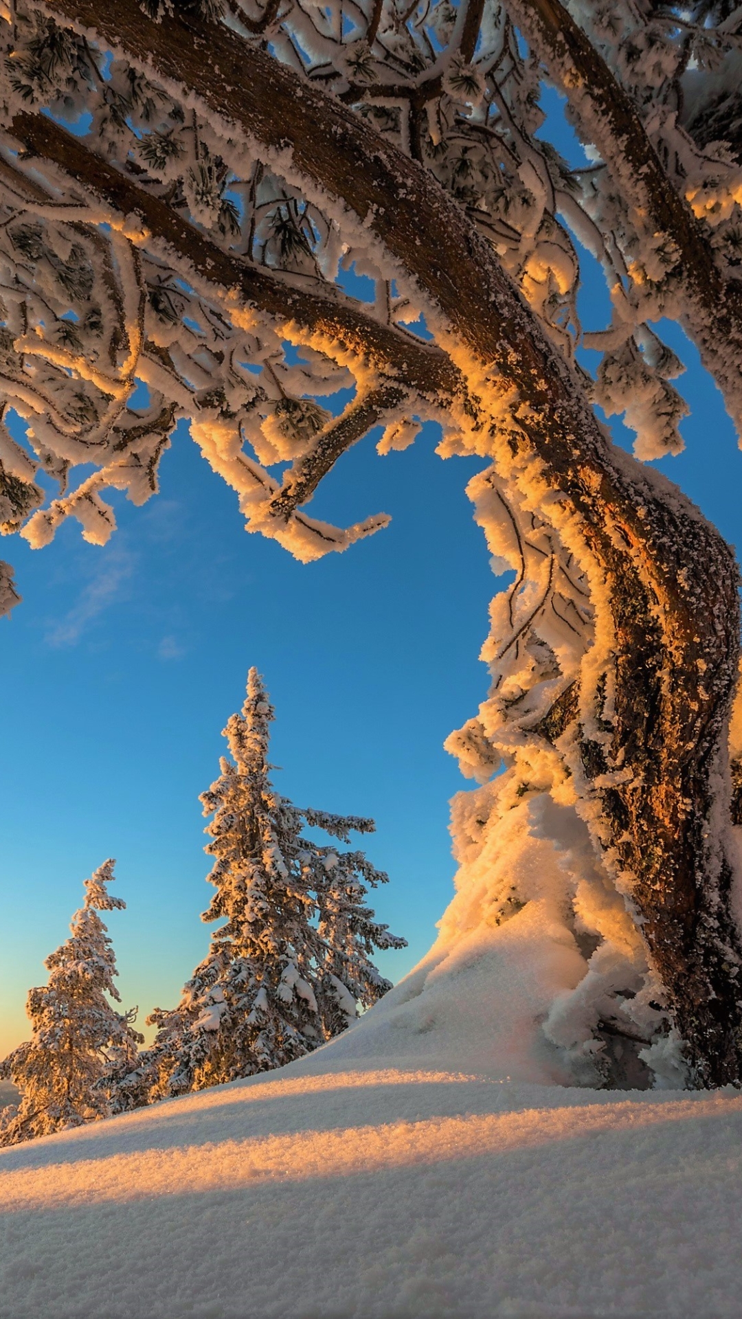 Скачать картинку Зима, Снег, Гора, Земля, Земля/природа в телефон бесплатно.