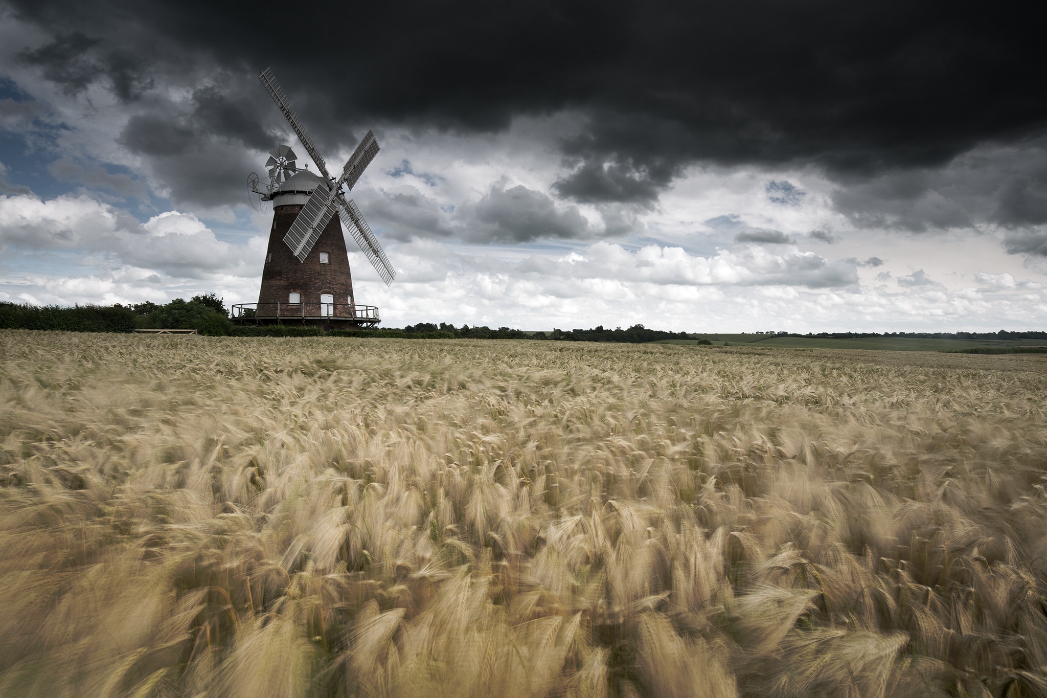 Laden Sie das Landschaft, Sommer, Weizen, Feld, Wolke, Windmühle, Menschengemacht-Bild kostenlos auf Ihren PC-Desktop herunter