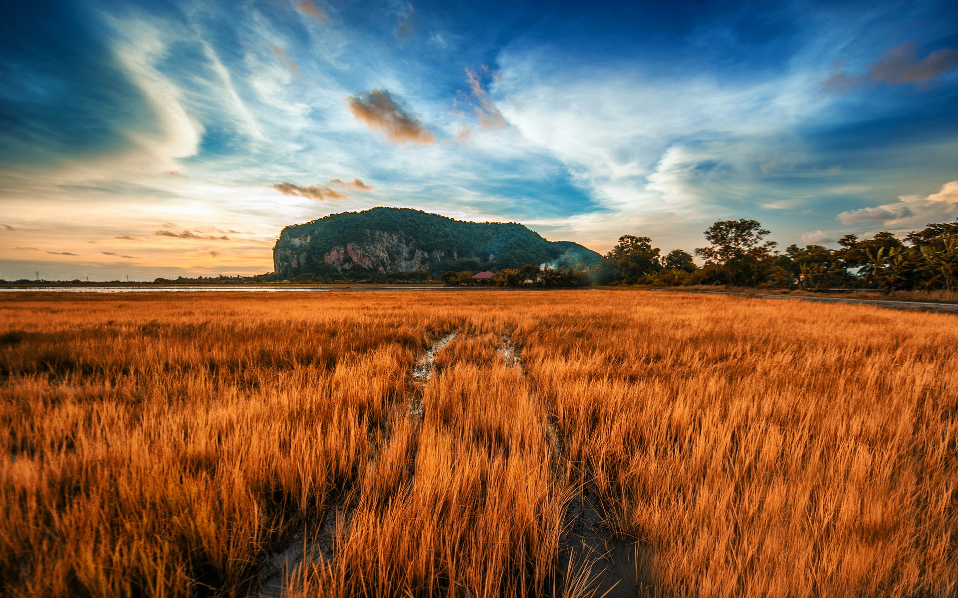 Descarga gratuita de fondo de pantalla para móvil de Paisaje, Tierra/naturaleza.