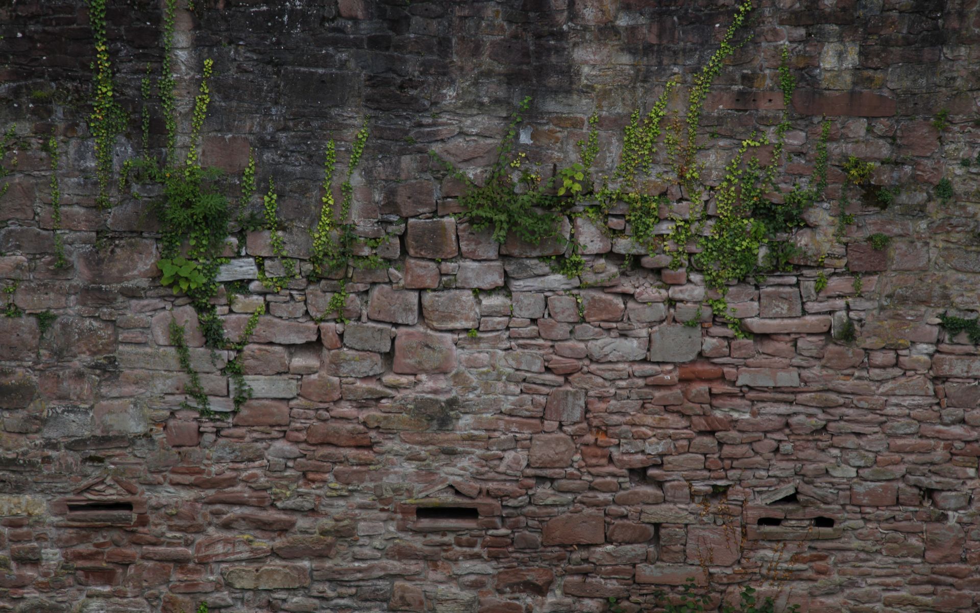Baixar papéis de parede de desktop Castelo De Heidelberg HD