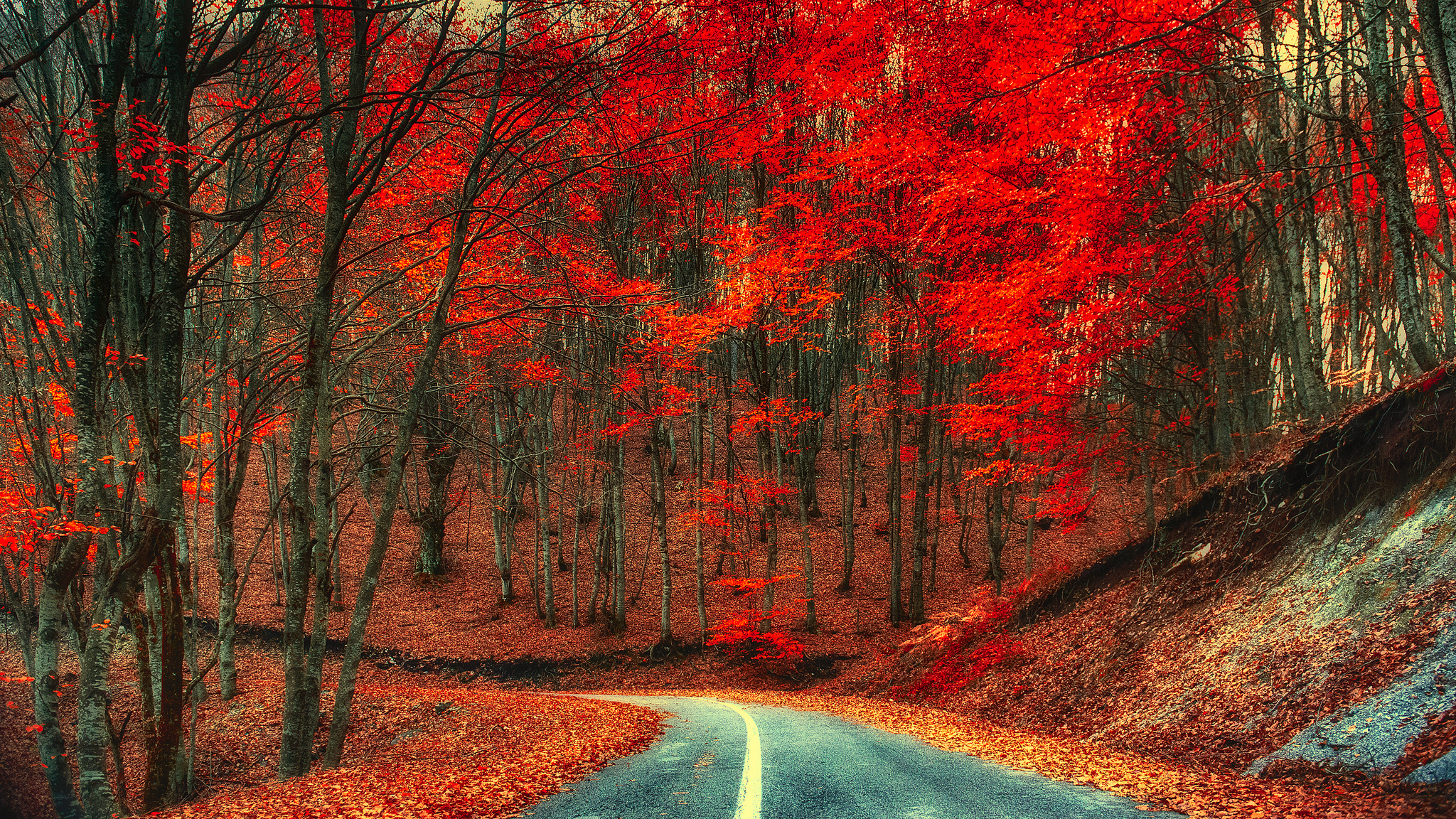Скачать картинку Осень, Дорога, Красный, Дерево, Сделано Человеком в телефон бесплатно.